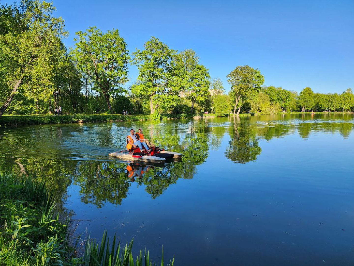 чехов, лето в подмосковье, городской парк, катамаран, жители, отдых,