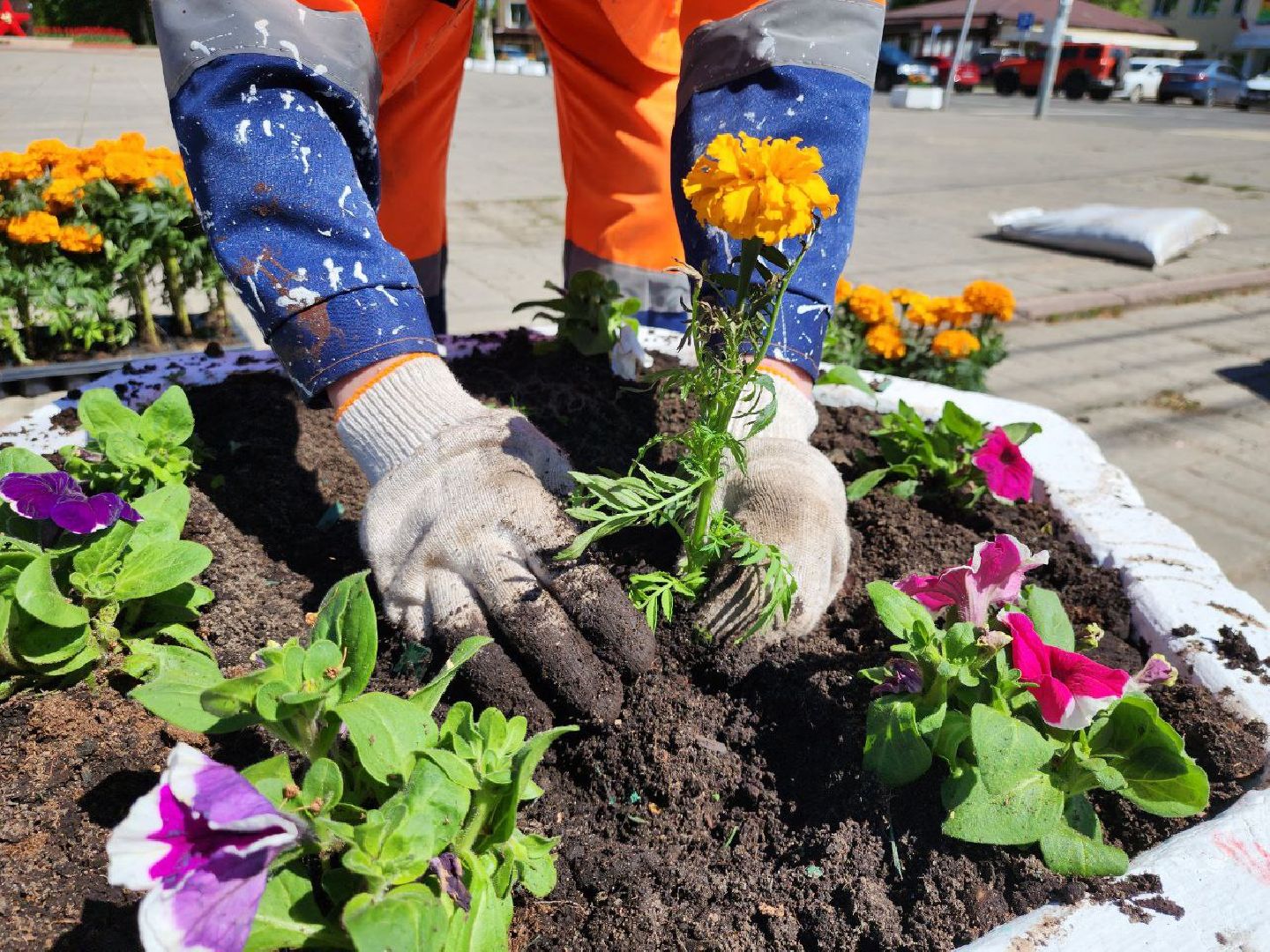 можайск, можайский городской округ, подмосковье, благоустройство, цветы, озеленение,