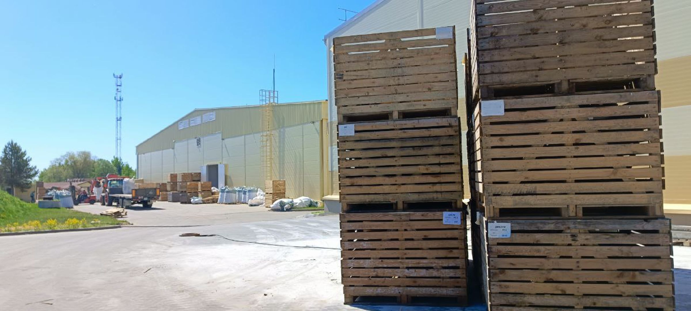 Талдом, Дмитровские овощи,