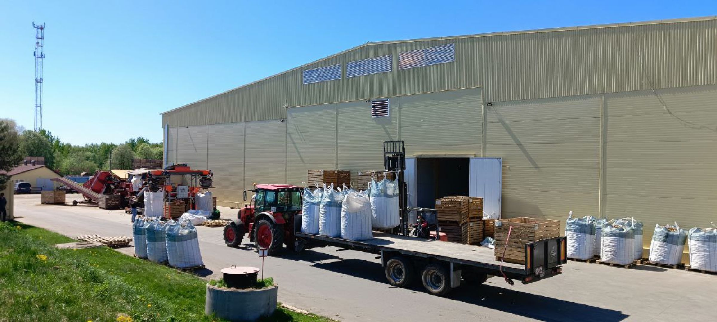 Талдом, Дмитровские овощи,