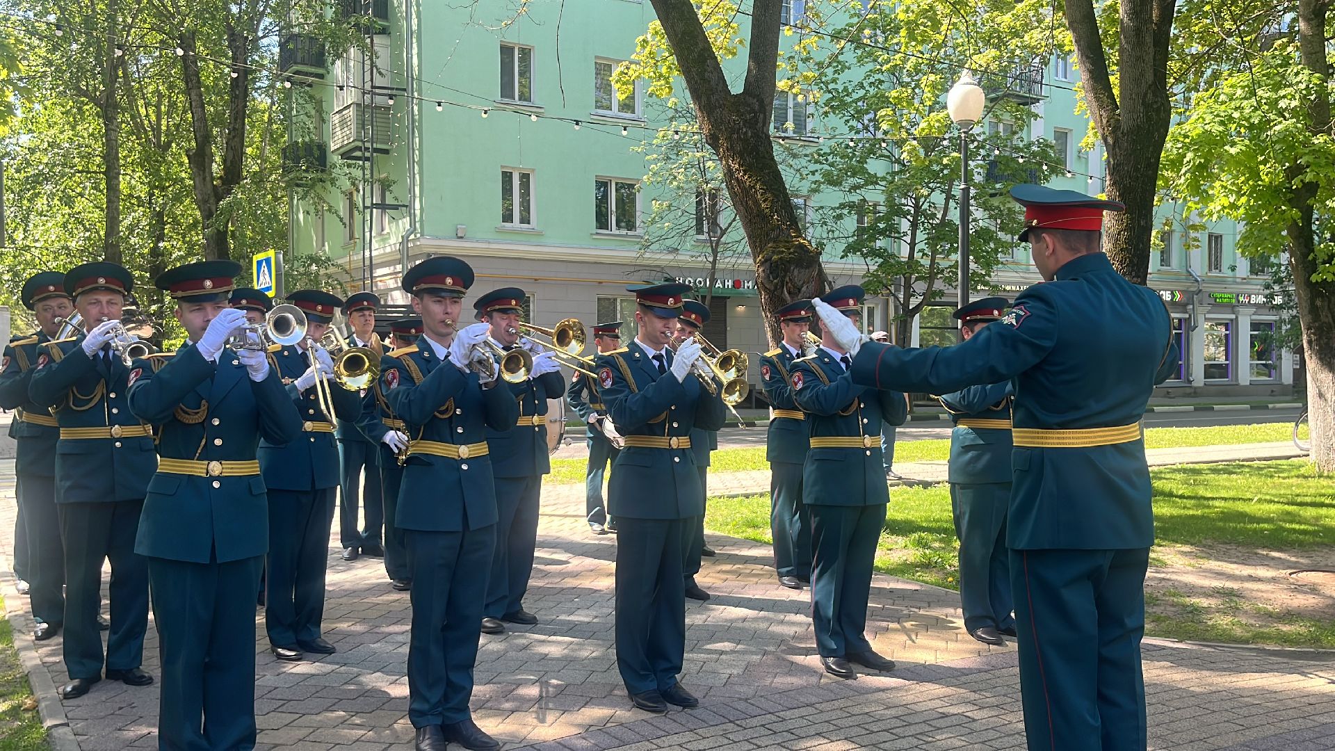 сво, посадка, клен, посадка кленов,