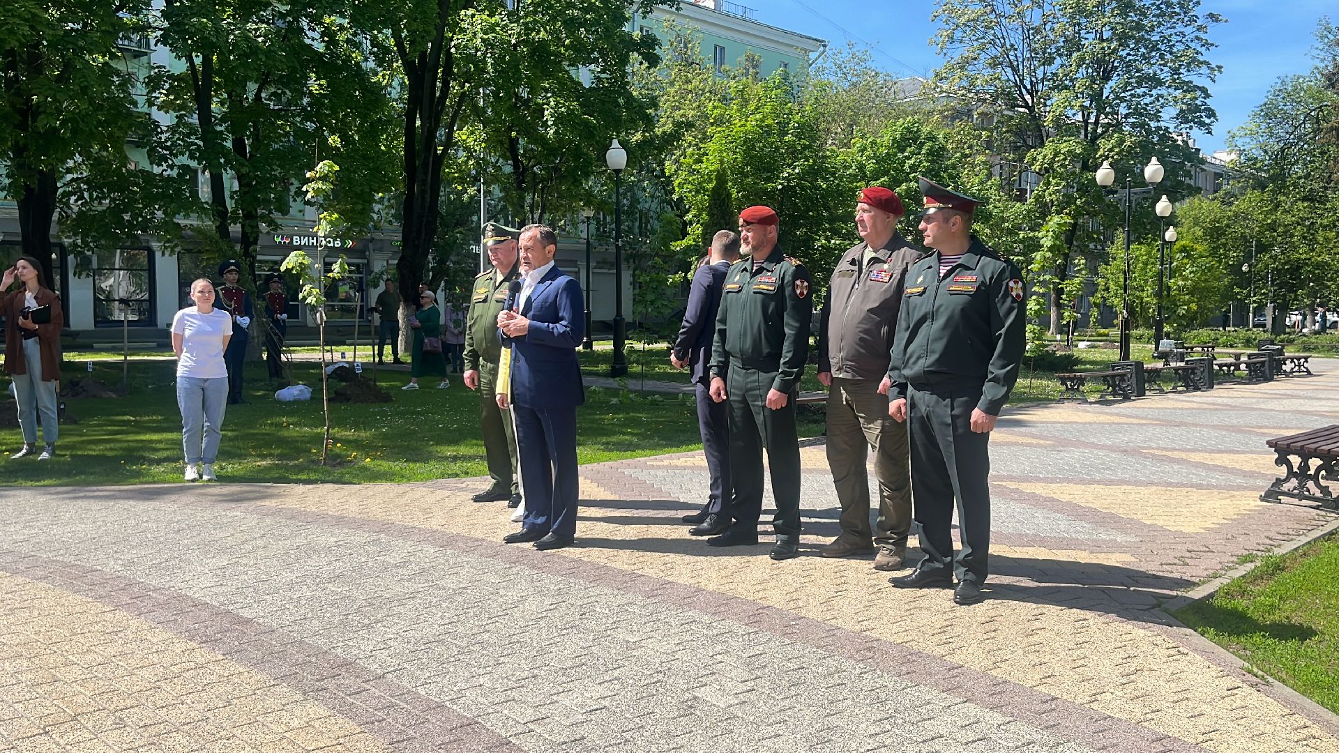 сво, посадка, клен, посадка кленов,