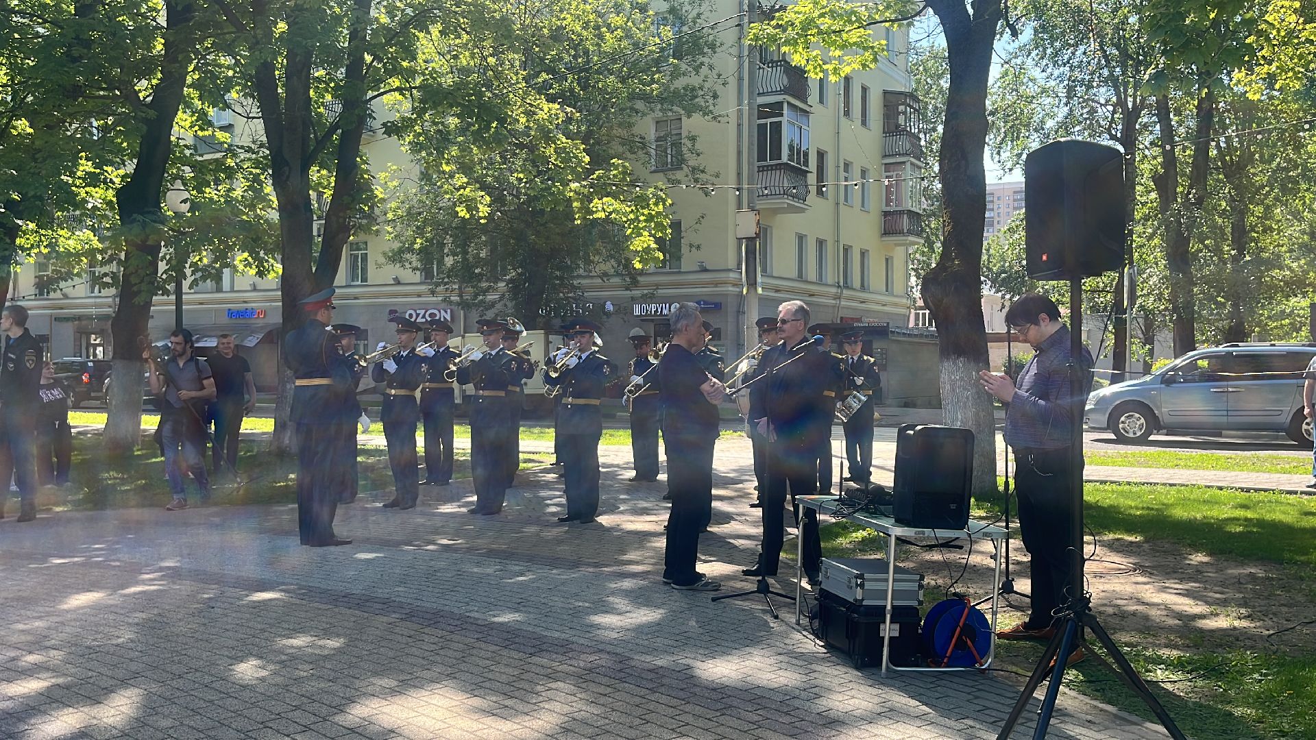 сво, посадка, клен, посадка кленов,