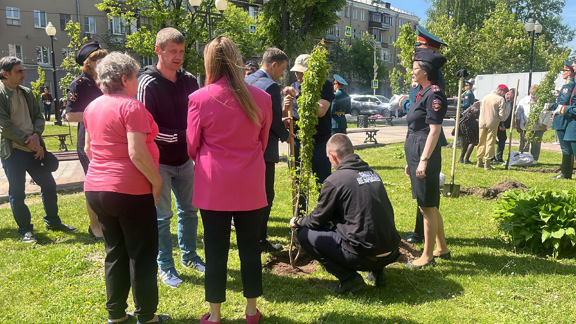 сво, посадка, клен, посадка кленов,