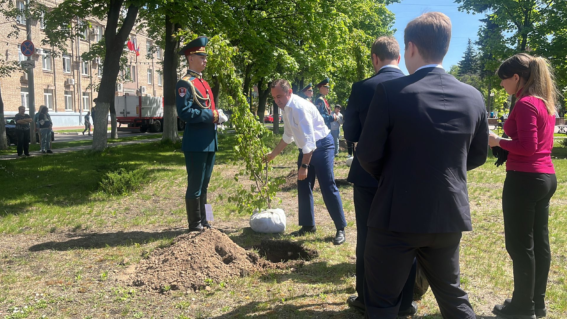 сво, посадка, клен, посадка кленов,