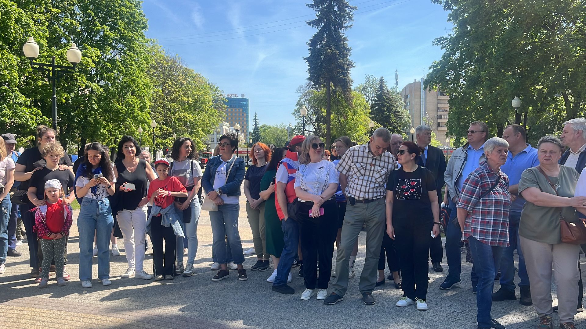 сво, посадка, клен, посадка кленов,