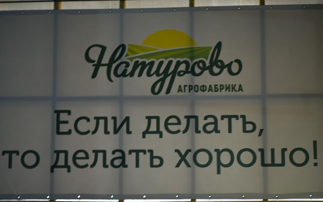 Агрофабрика, Луховицы, овощи