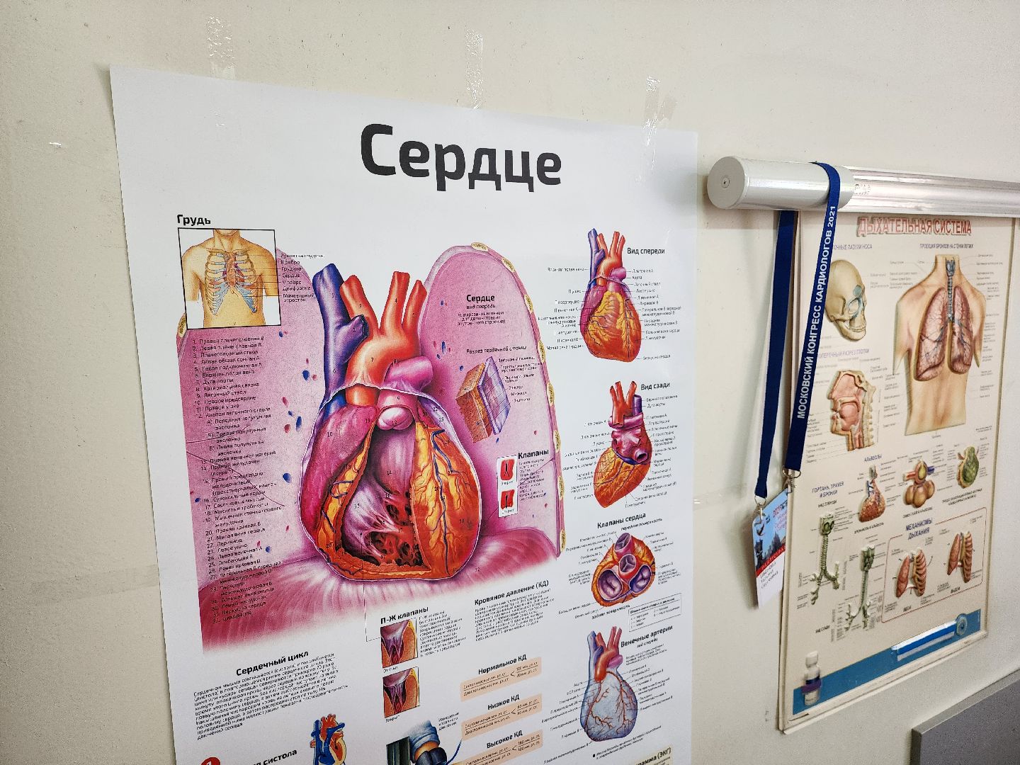 Дубна, Терапевт, целевое обучение, целевое направление, Медицинский вуз, Обучение, Врач, дубненская больница,