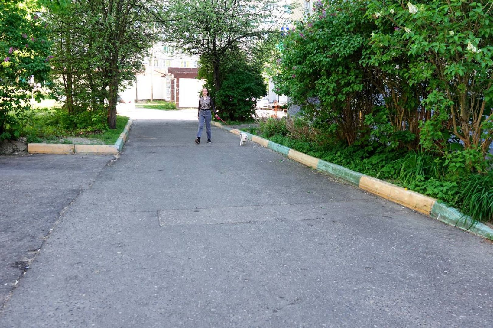 сергиев посад, выездная администрация, жители,