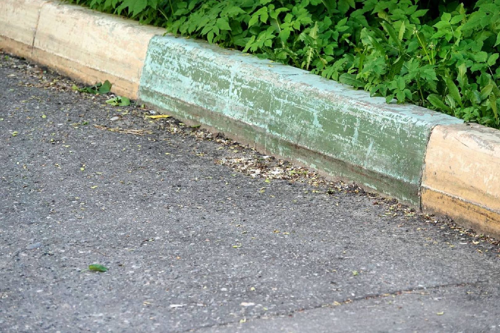 сергиев посад, выездная администрация, жители,