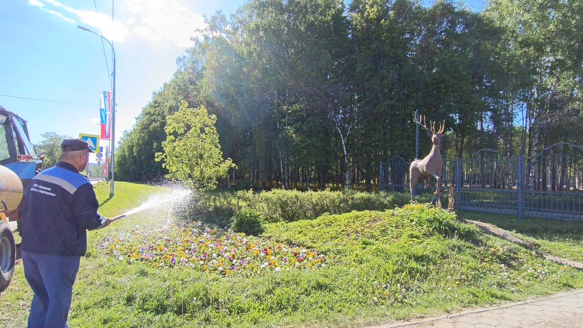 цветы, лобня, благоустройство,