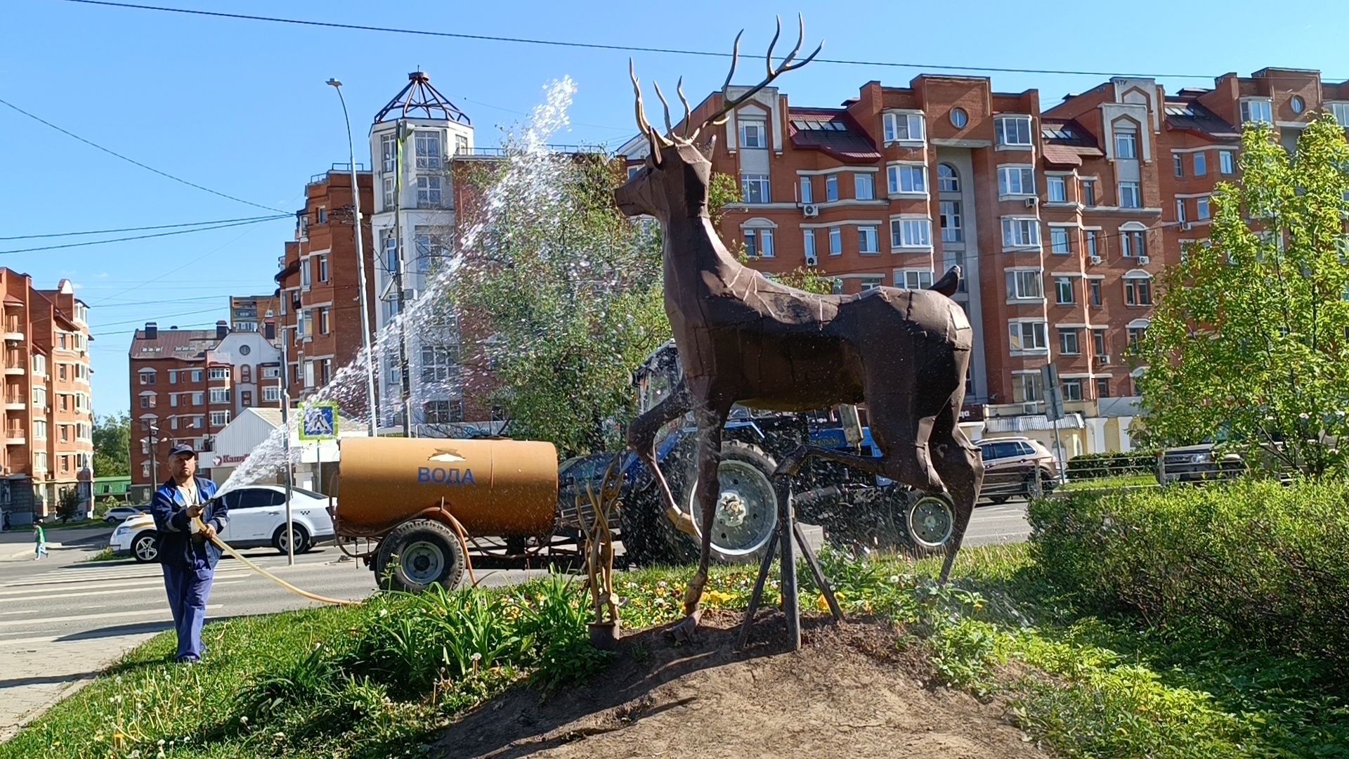 цветы, лобня, благоустройство,