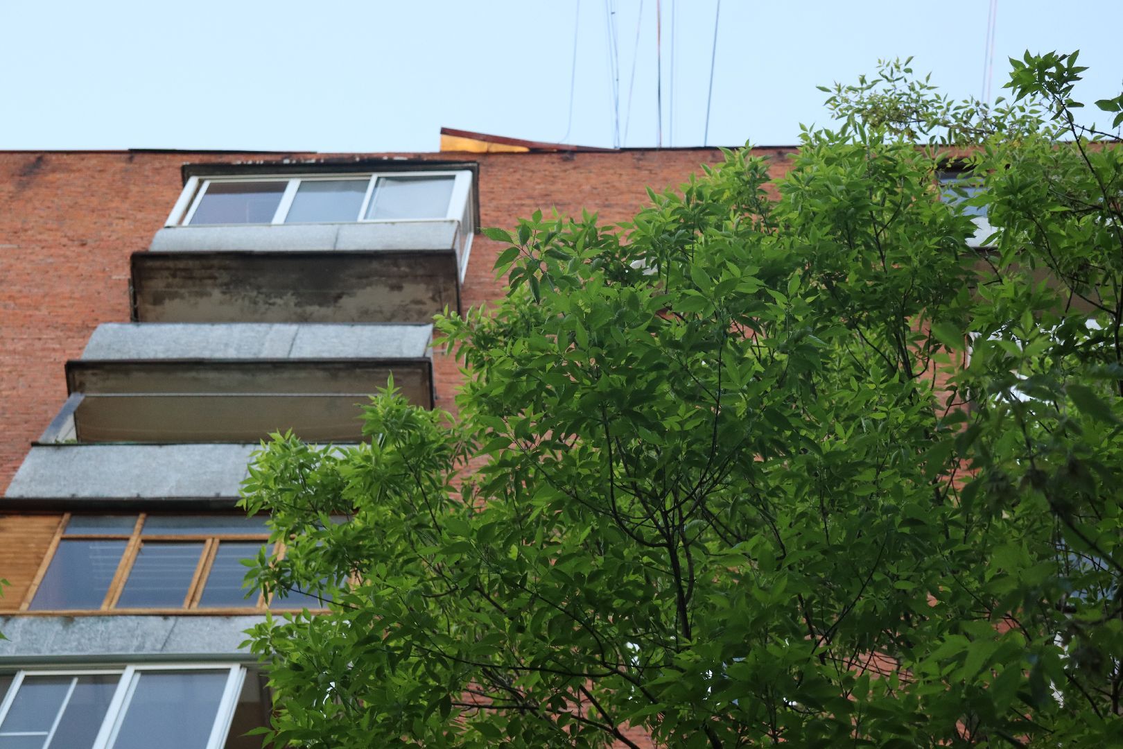 дзержинский, пак, выездная администрация,