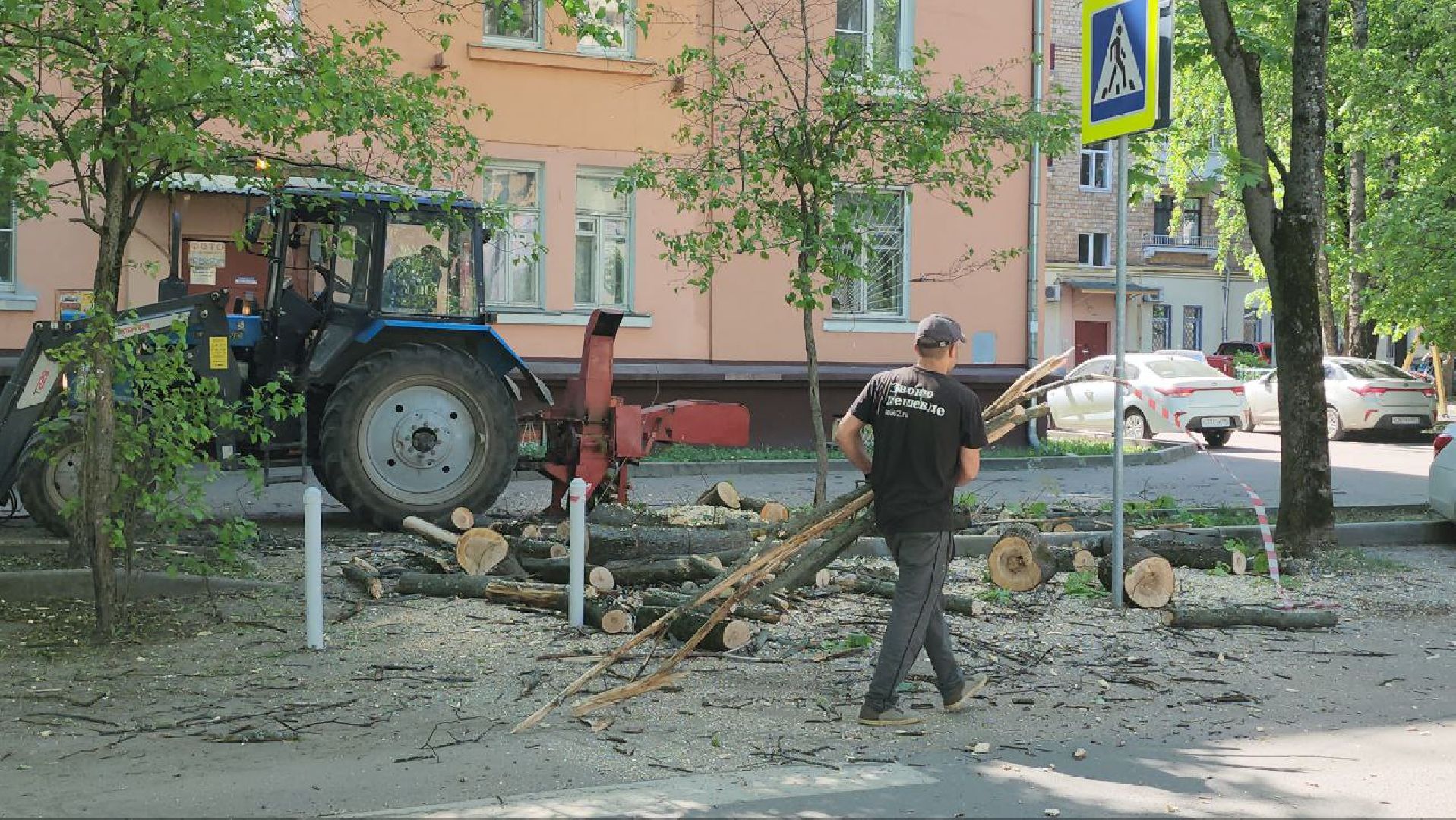 люберцы, аварийные деревья, опиловка деревьев,