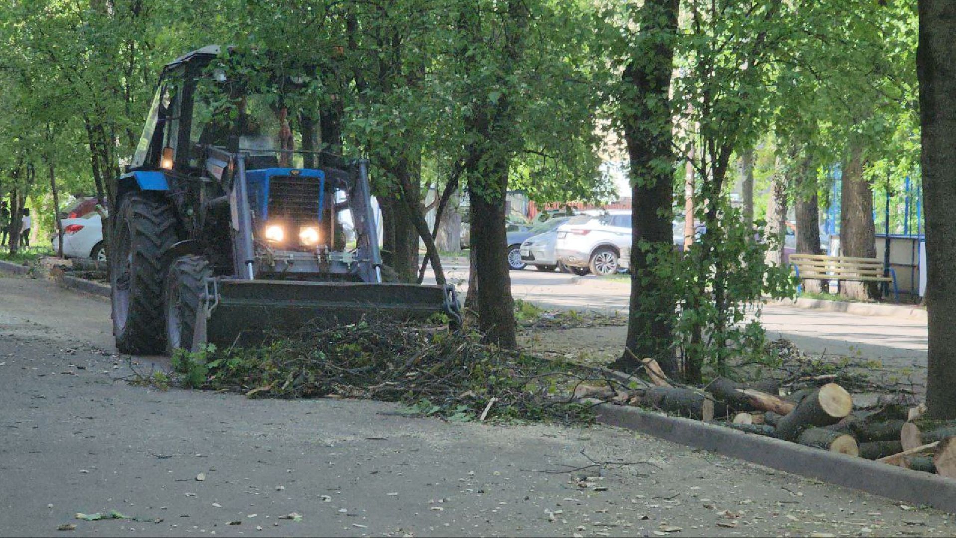 люберцы, аварийные деревья, опиловка деревьев,
