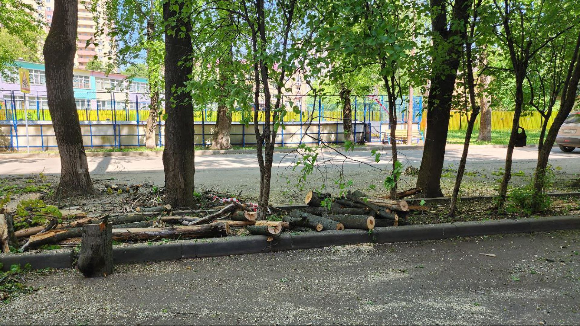 люберцы, аварийные деревья, опиловка деревьев,