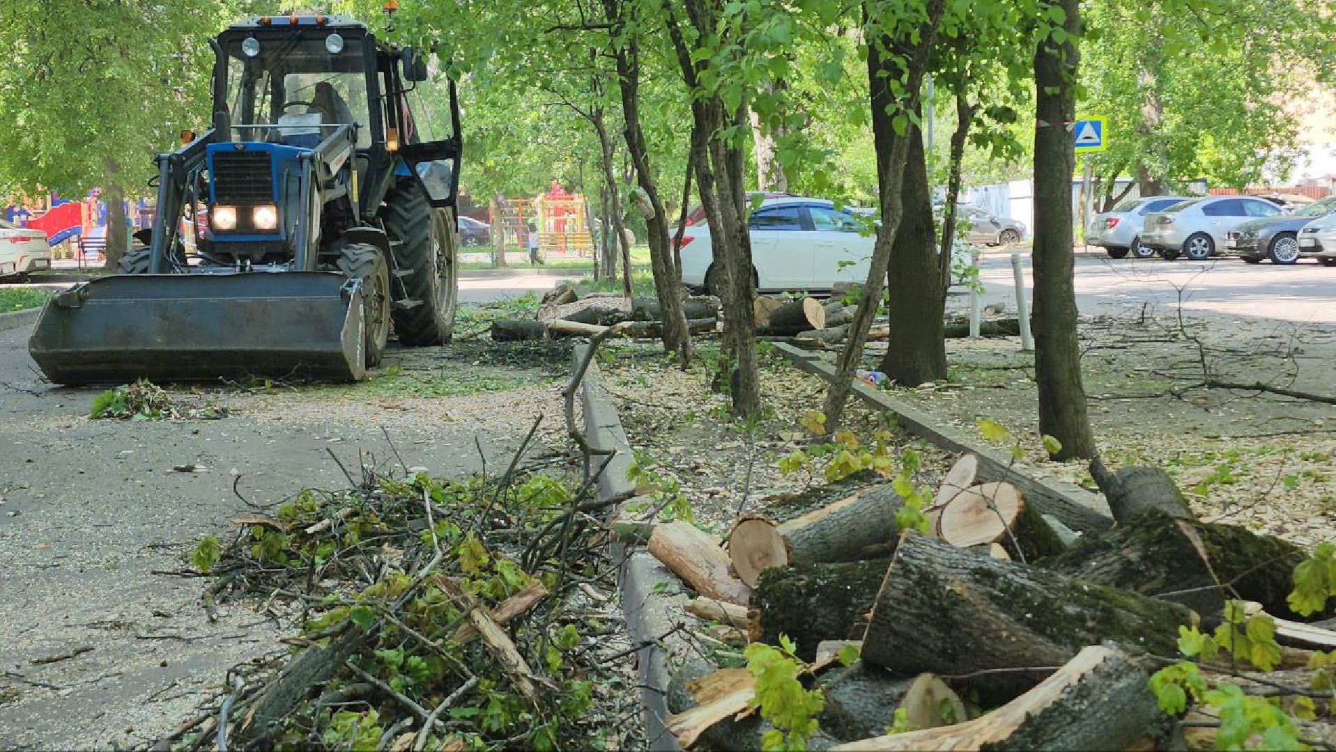 люберцы, аварийные деревья, опиловка деревьев,