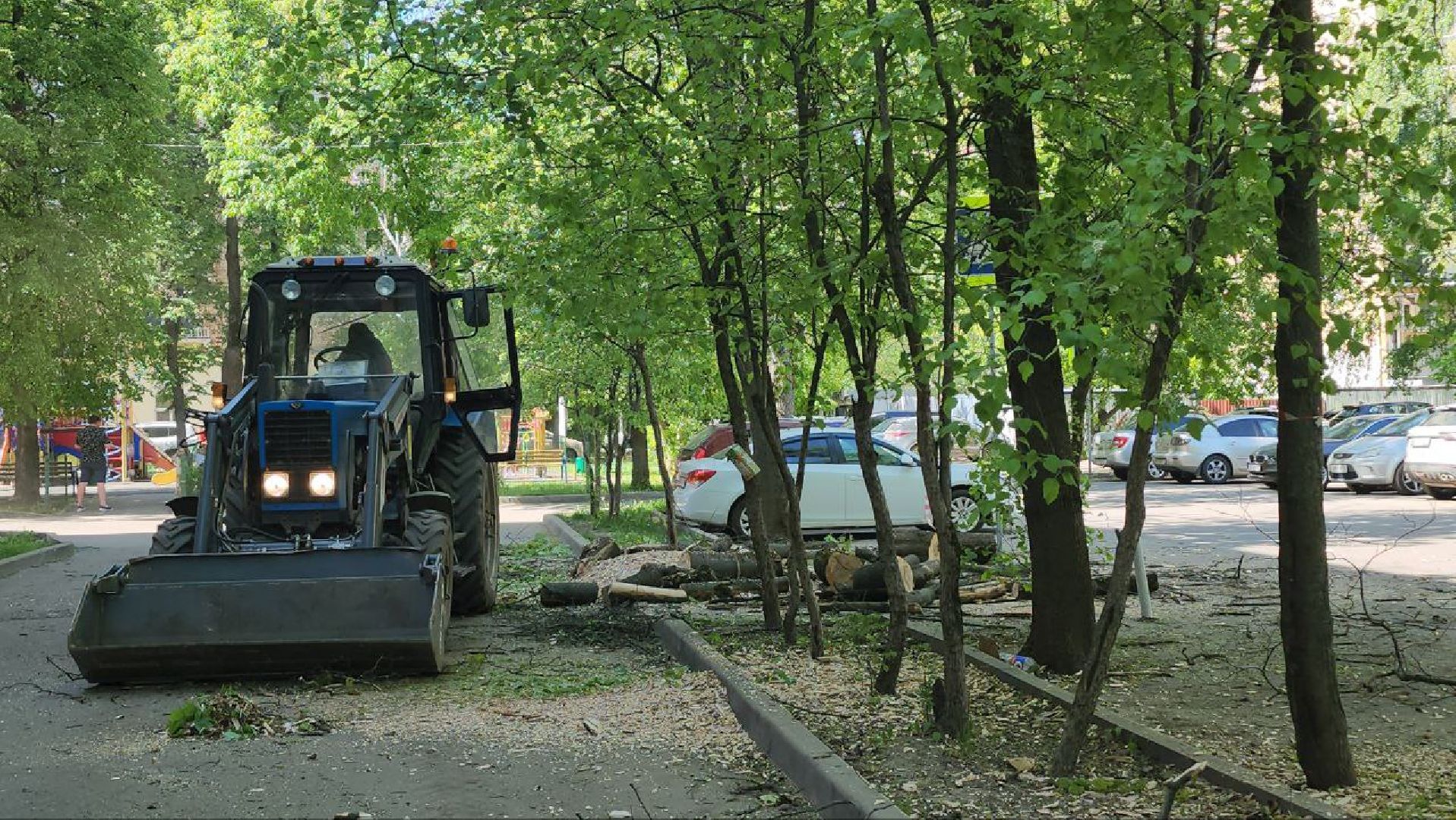 люберцы, аварийные деревья, опиловка деревьев,