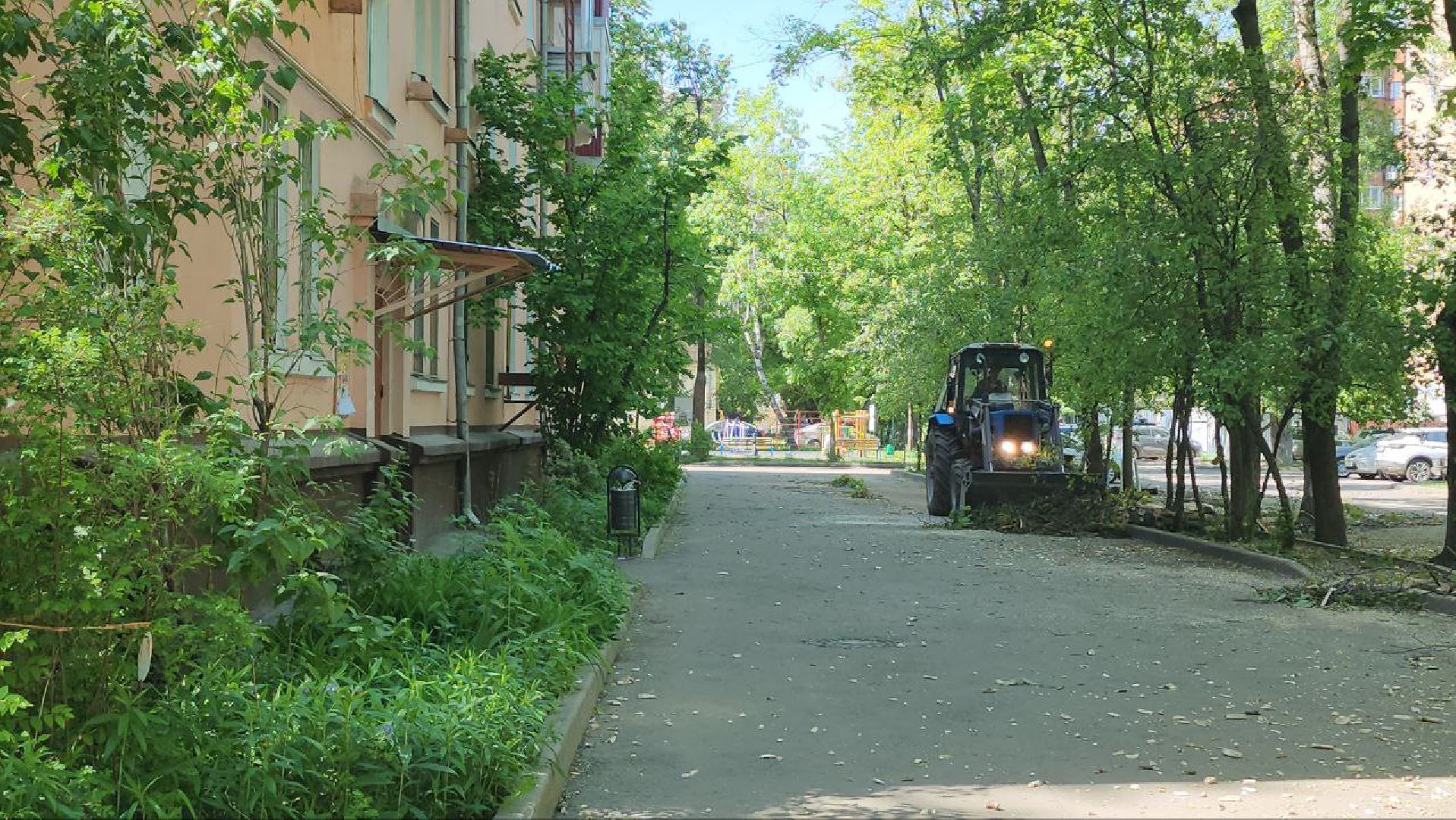 люберцы, аварийные деревья, опиловка деревьев,