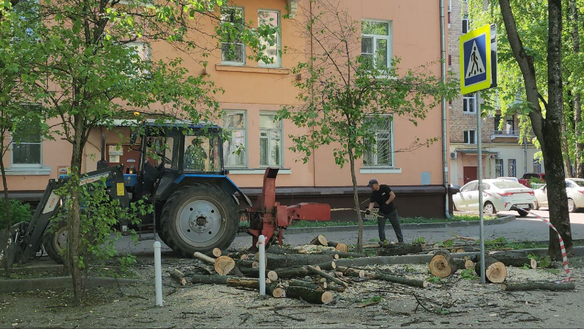 люберцы, аварийные деревья, опиловка деревьев,