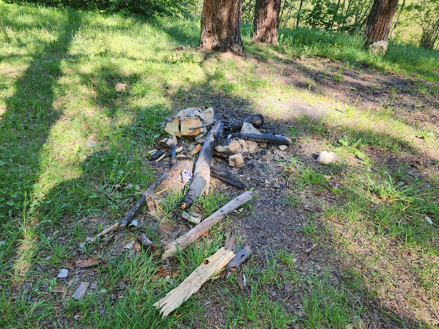 серпухов, подмосковье, лесничие, пожарная безопасность,