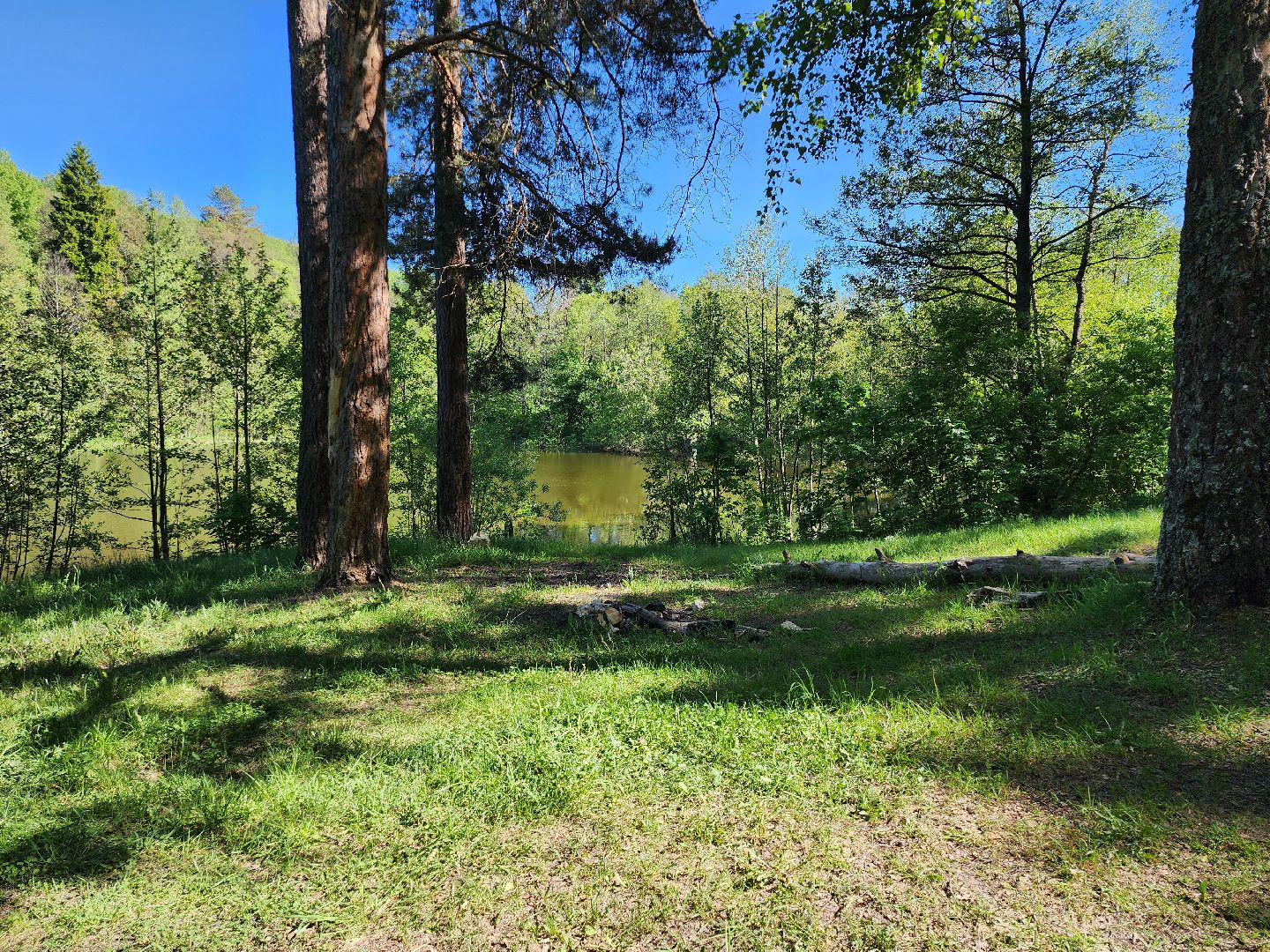 серпухов, подмосковье, лесничие, пожарная безопасность,