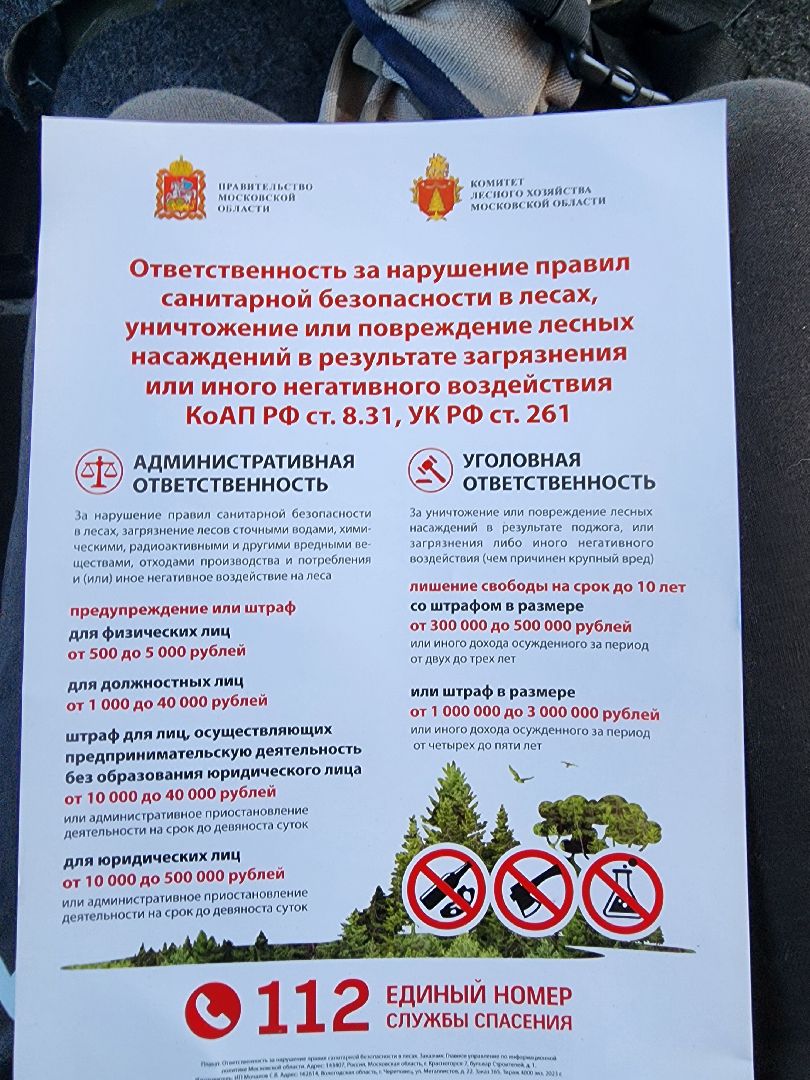 серпухов, подмосковье, лесничие, пожарная безопасность,