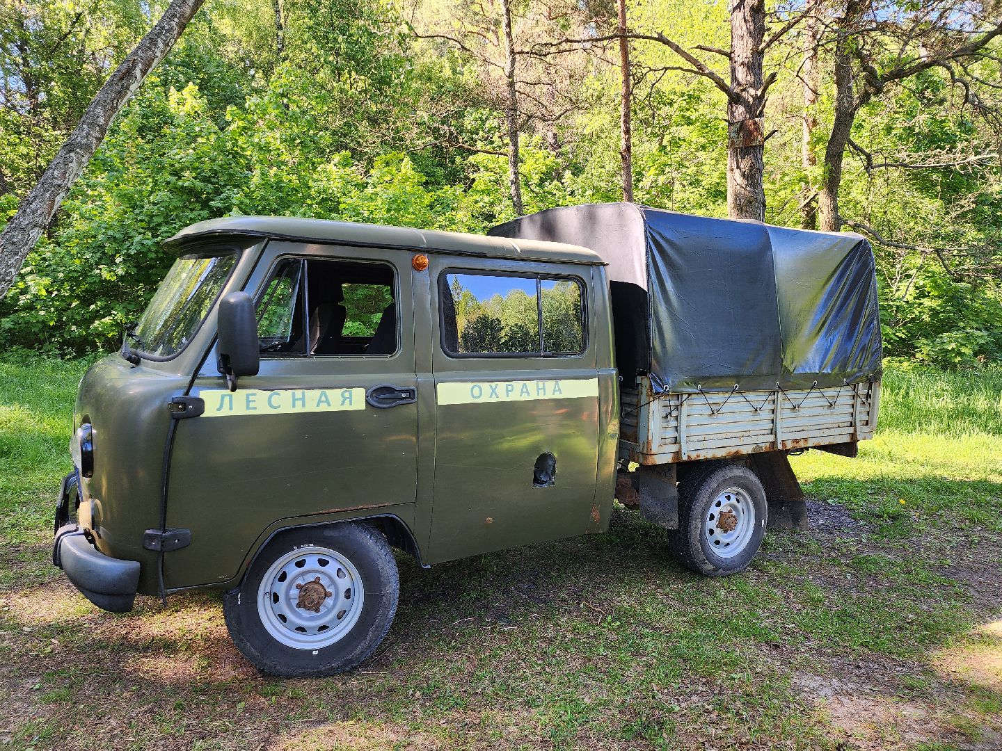 серпухов, подмосковье, лесничие, пожарная безопасность,