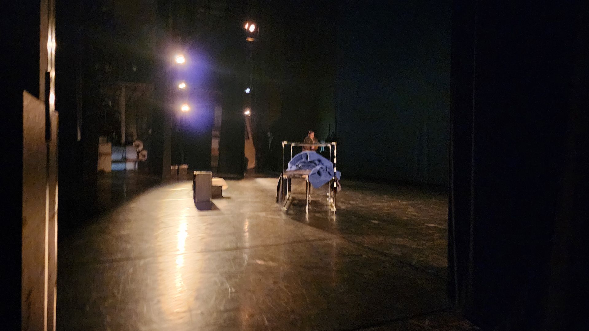 Московский губернский театр, Губернатор Московской области Андрей Воробьев, Ленинградский щелкунчик, московская премьера, военно-исторический спектакль, блокадная сказка Дениса Нефедова, 80-летие полного освобождения Ленинграда от фашистской блокады, Московский Художественный Театр Комедии, Институт театрального искусства имени Народного артиста СССР Кобзона, Год Семьи,Санкт-Петербург, Блокада, Кошки Ленинграда,