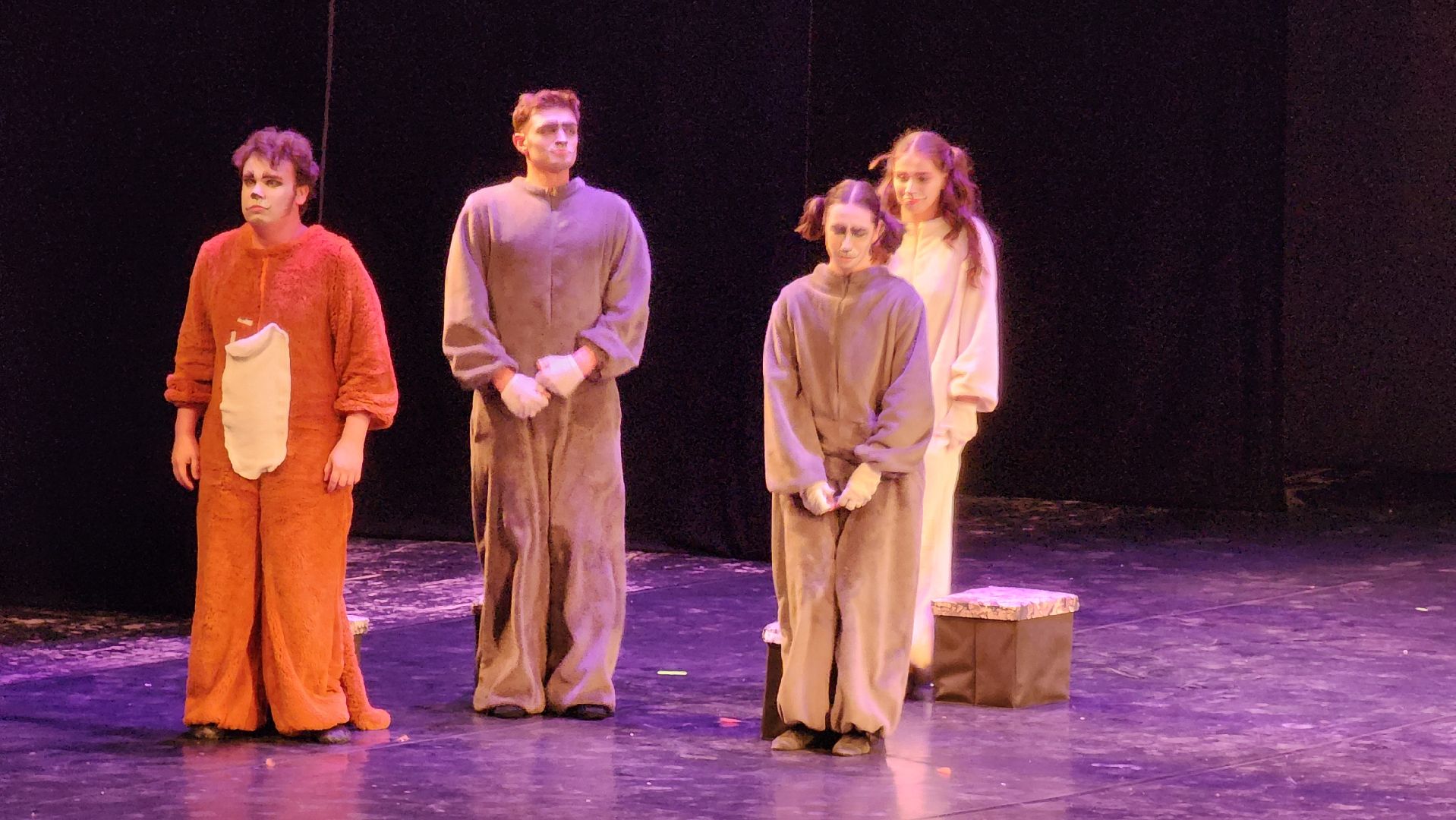 Московский губернский театр, Губернатор Московской области Андрей Воробьев, Ленинградский щелкунчик, московская премьера, военно-исторический спектакль, блокадная сказка Дениса Нефедова, 80-летие полного освобождения Ленинграда от фашистской блокады, Московский Художественный Театр Комедии, Институт театрального искусства имени Народного артиста СССР Кобзона, Год Семьи,Санкт-Петербург, Блокада, Кошки Ленинграда,