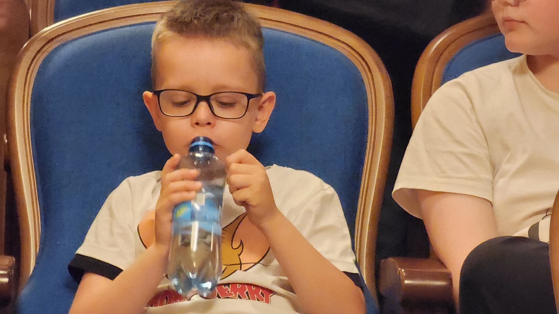 Московский губернский театр, Губернатор Московской области Андрей Воробьев, Ленинградский щелкунчик, московская премьера, военно-исторический спектакль, блокадная сказка Дениса Нефедова, 80-летие полного освобождения Ленинграда от фашистской блокады, Московский Художественный Театр Комедии, Институт театрального искусства имени Народного артиста СССР Кобзона, Год Семьи,Санкт-Петербург, Блокада, Кошки Ленинграда,