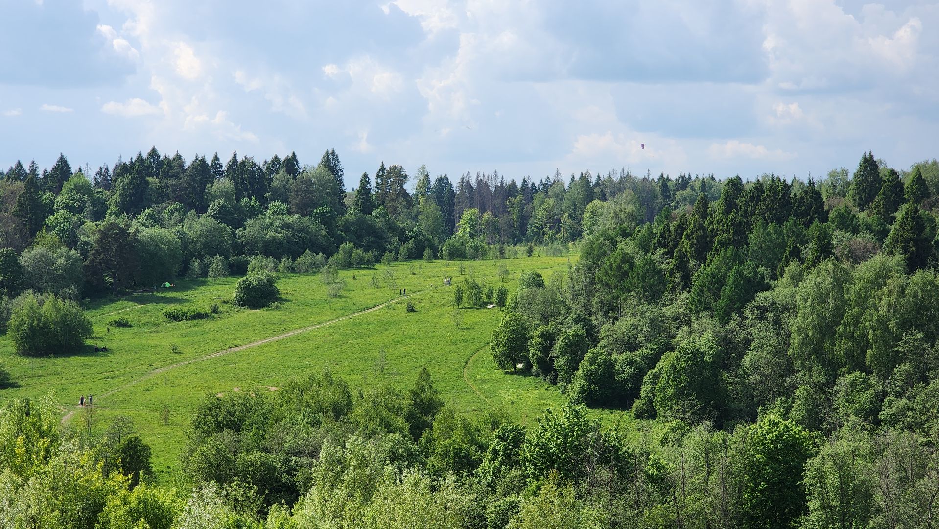 красногорск, черневская поляна, воздушные змеи, турнир, год семьи,гоголь, экология, лес будущего,