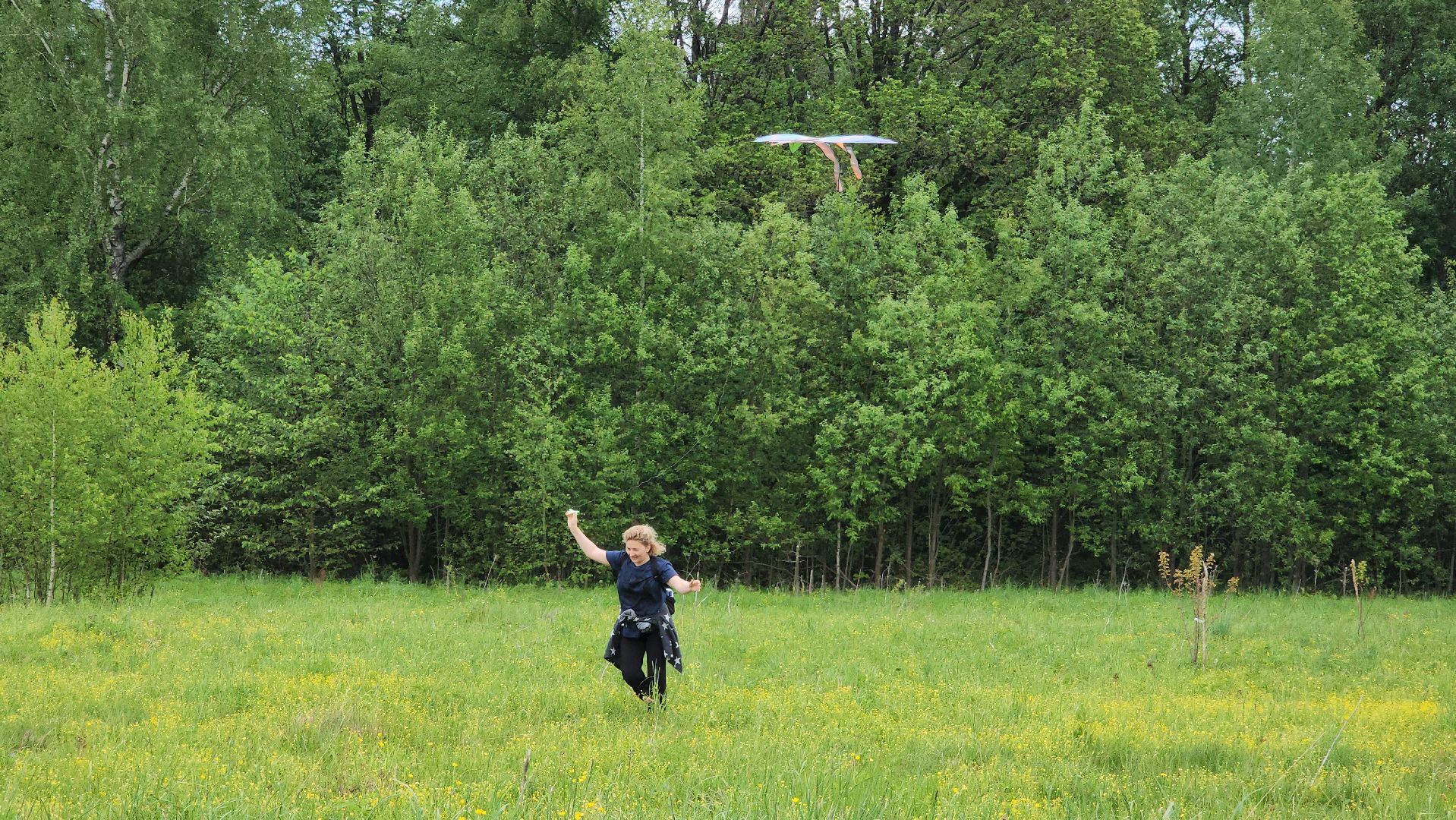 красногорск, черневская поляна, воздушные змеи, турнир, год семьи,гоголь, экология, лес будущего,