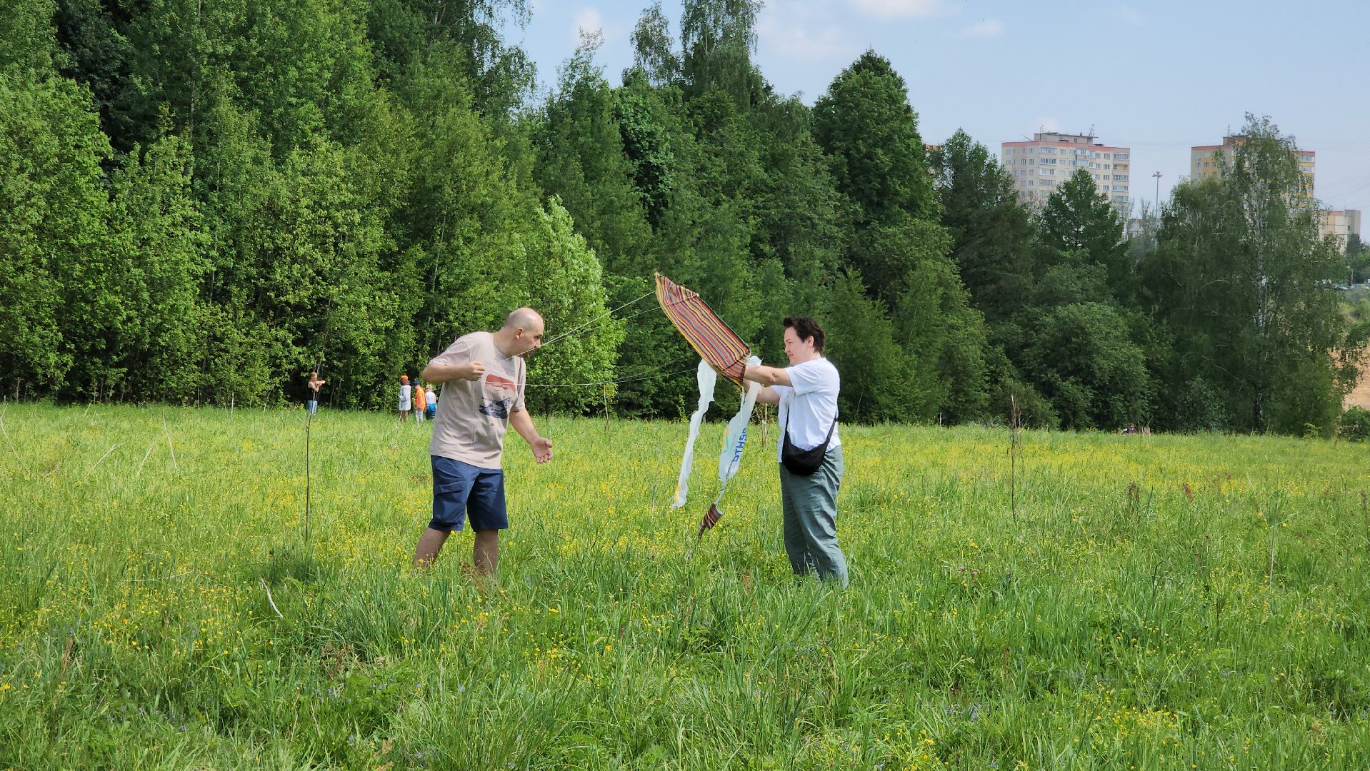 красногорск, черневская поляна, воздушные змеи, турнир, год семьи,гоголь, экология, лес будущего,