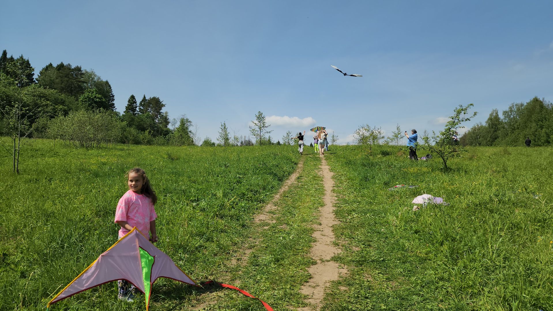 красногорск, черневская поляна, воздушные змеи, турнир, год семьи,гоголь, экология, лес будущего,