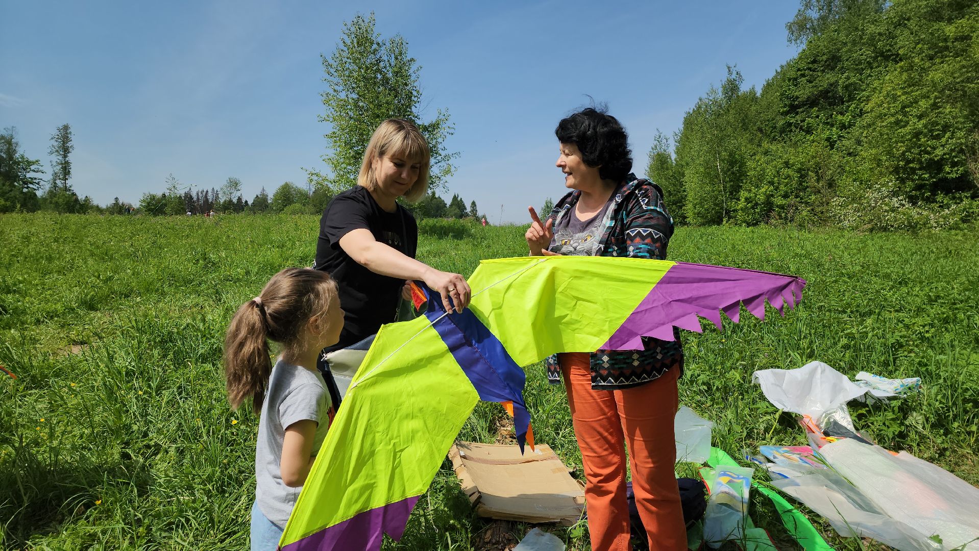 красногорск, черневская поляна, воздушные змеи, турнир, год семьи,гоголь, экология, лес будущего,