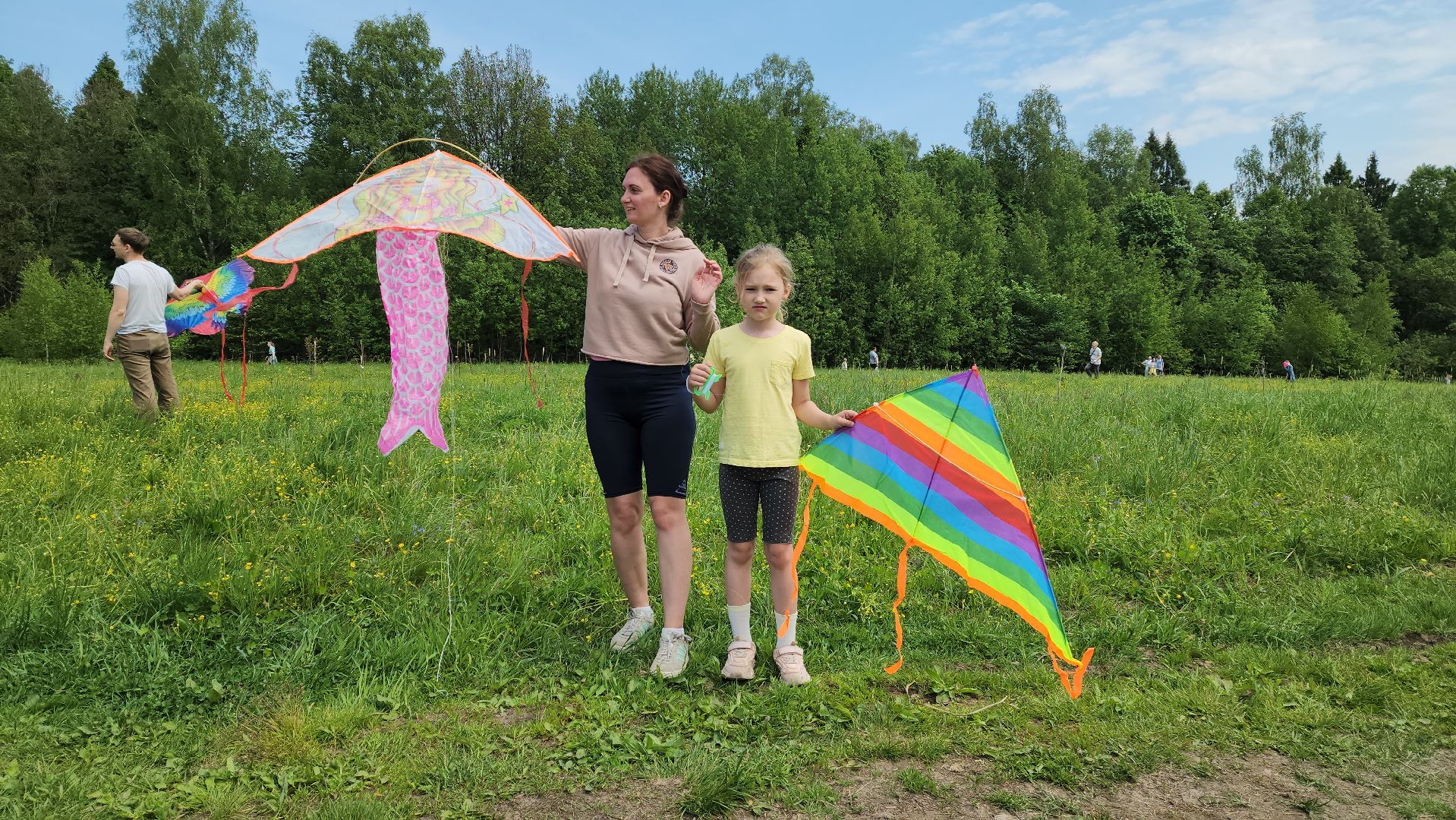 красногорск, черневская поляна, воздушные змеи, турнир, год семьи,гоголь, экология, лес будущего,