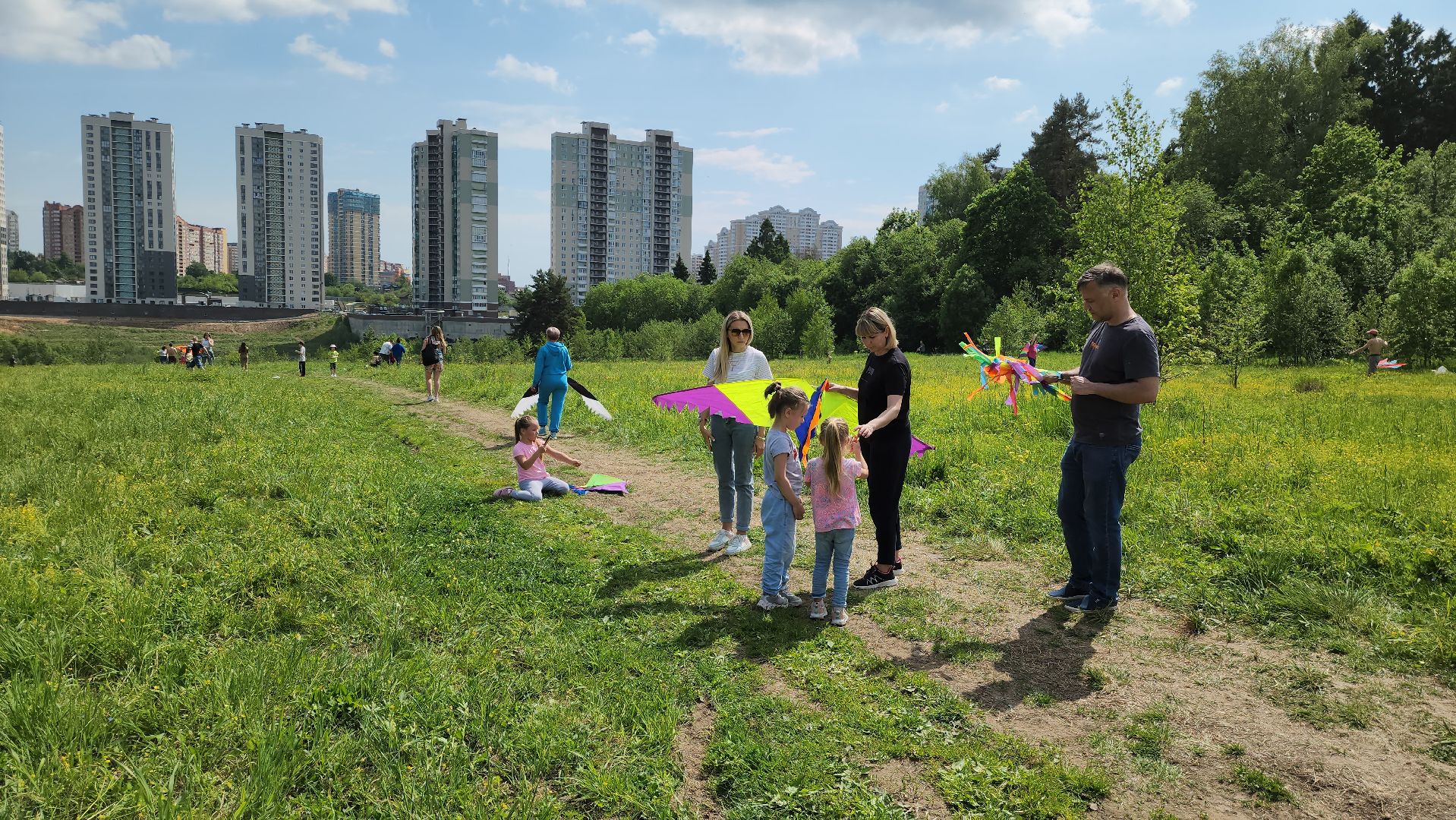 красногорск, черневская поляна, воздушные змеи, турнир, год семьи,гоголь, экология, лес будущего,