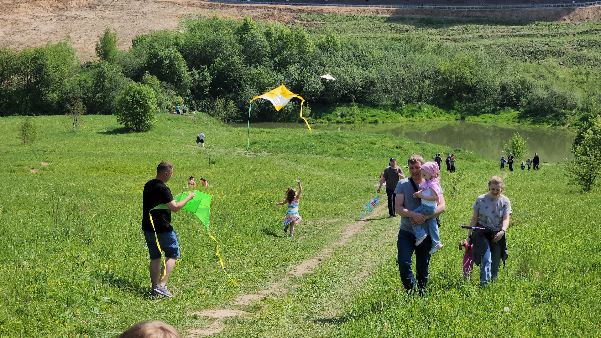 красногорск, черневская поляна, воздушные змеи, турнир, год семьи,гоголь, экология, лес будущего,