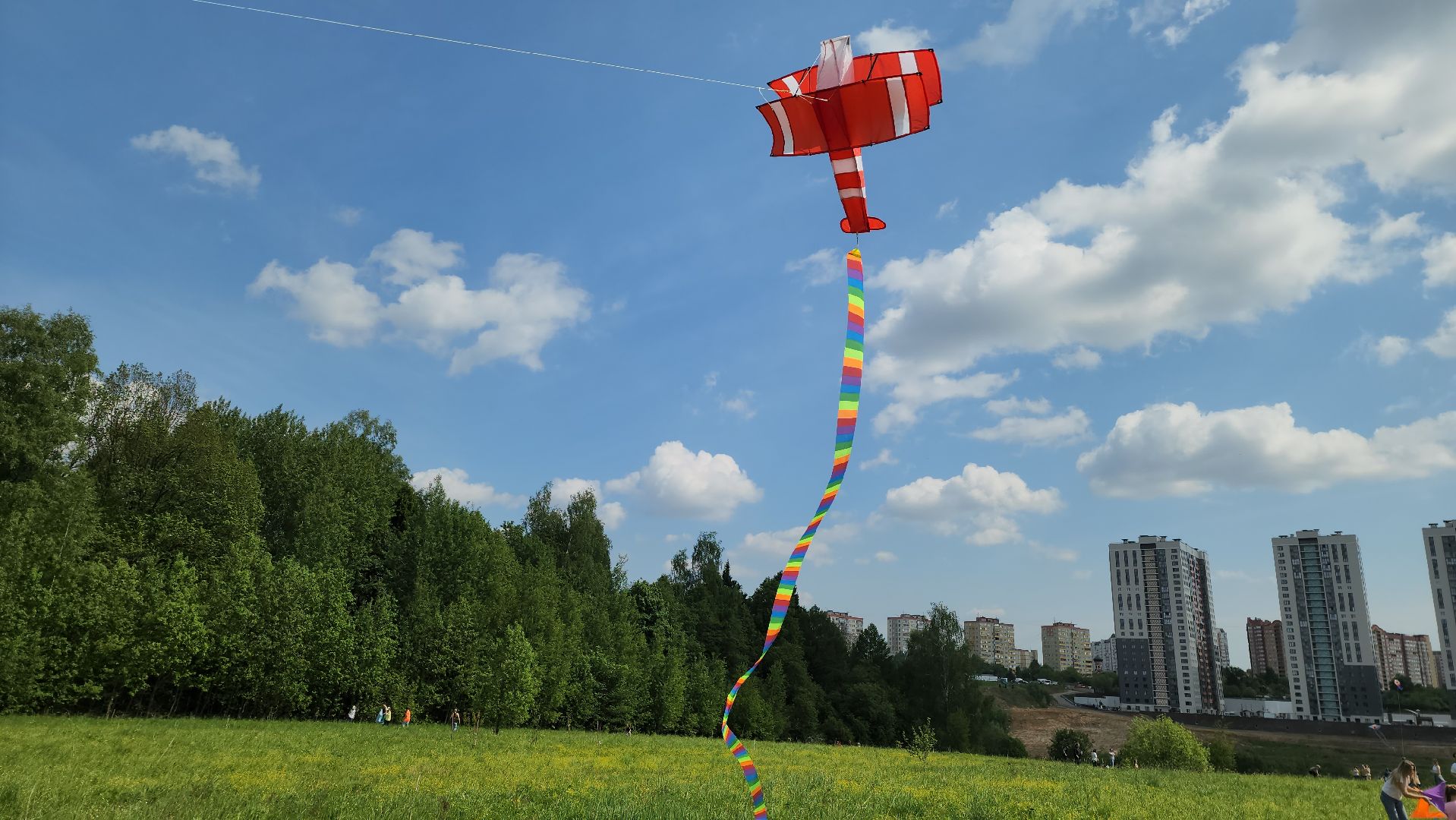 красногорск, черневская поляна, воздушные змеи, турнир, год семьи,гоголь, экология, лес будущего,