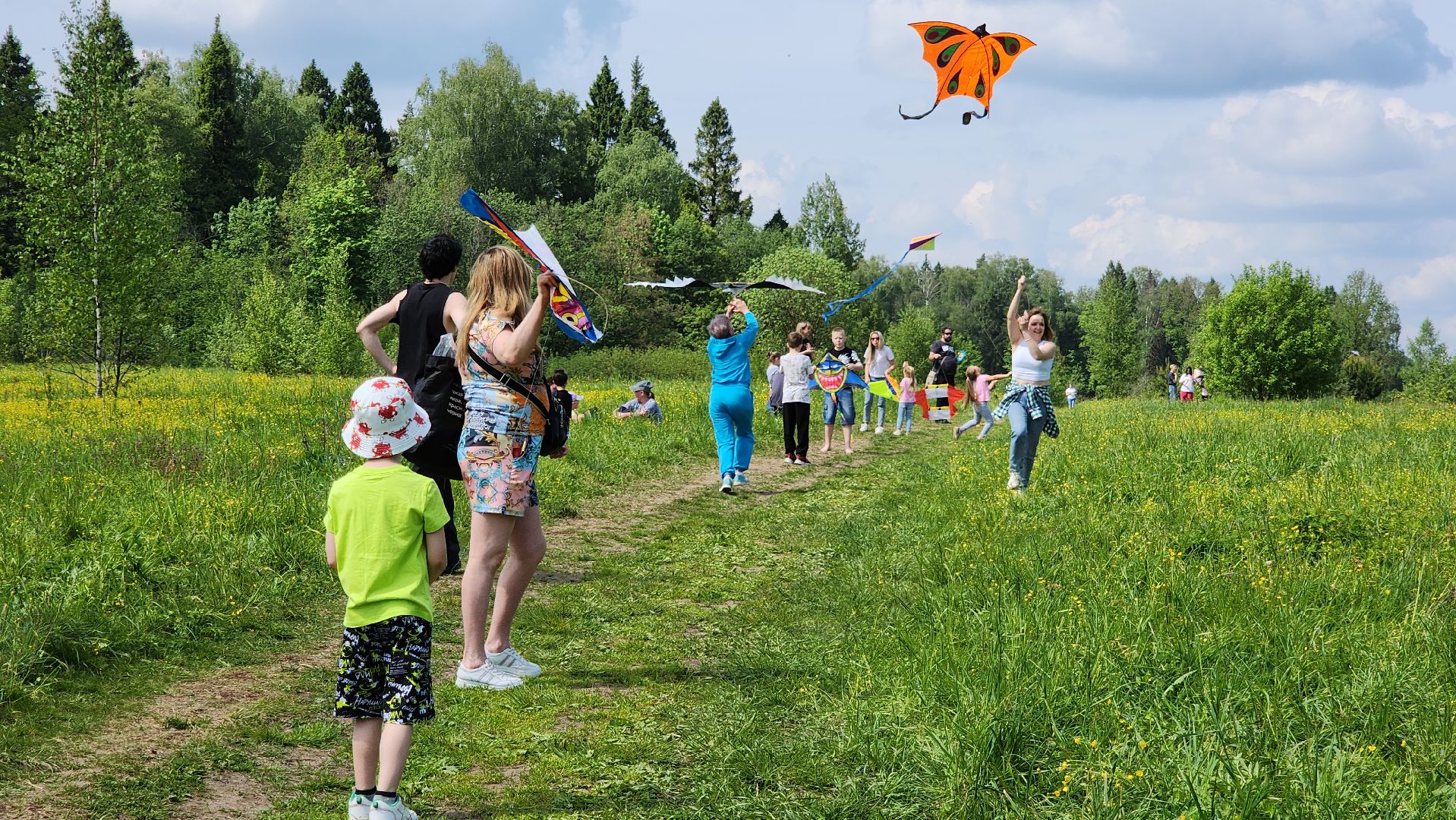 красногорск, черневская поляна, воздушные змеи, турнир, год семьи,гоголь, экология, лес будущего,