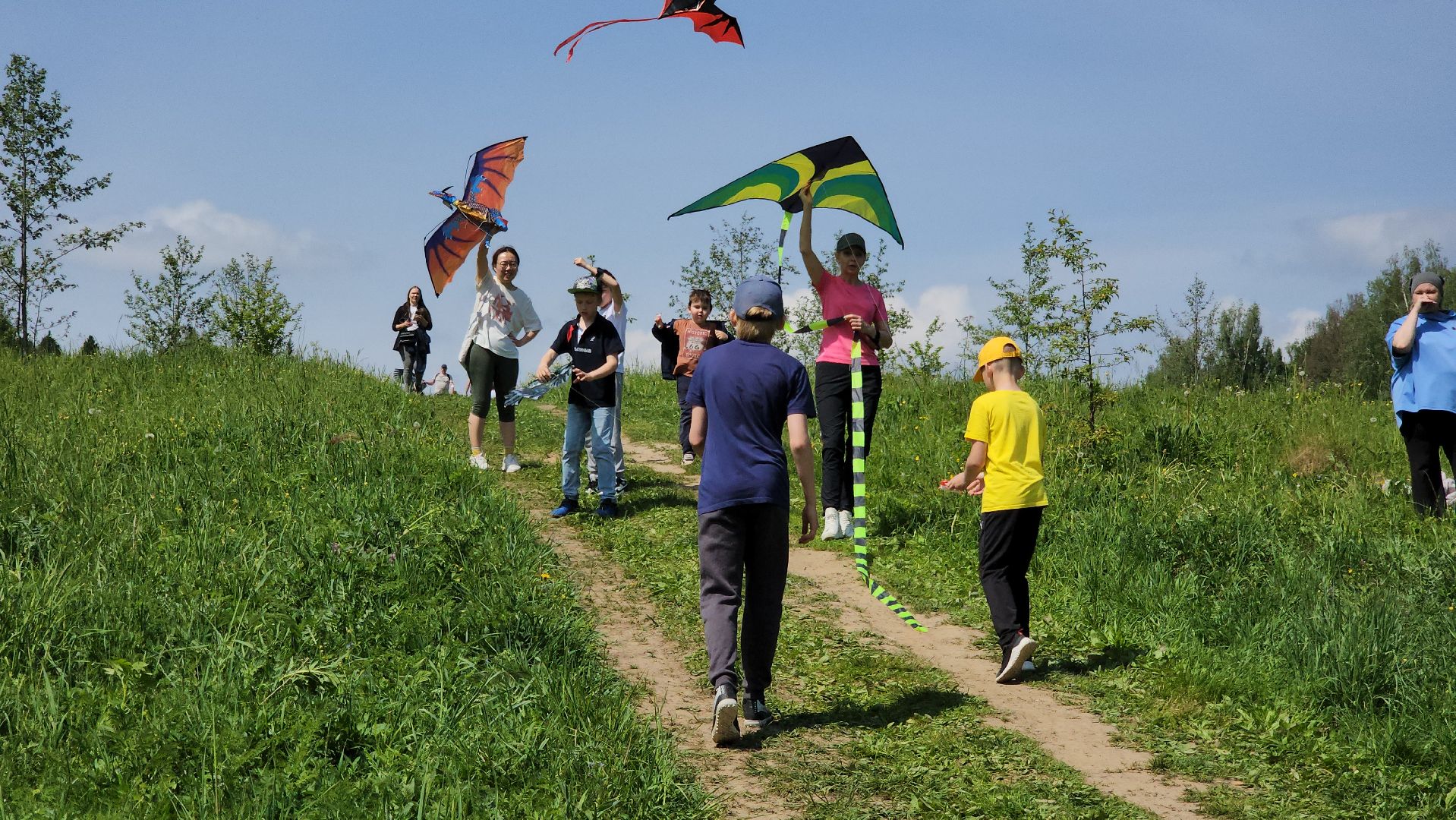 красногорск, черневская поляна, воздушные змеи, турнир, год семьи,гоголь, экология, лес будущего,