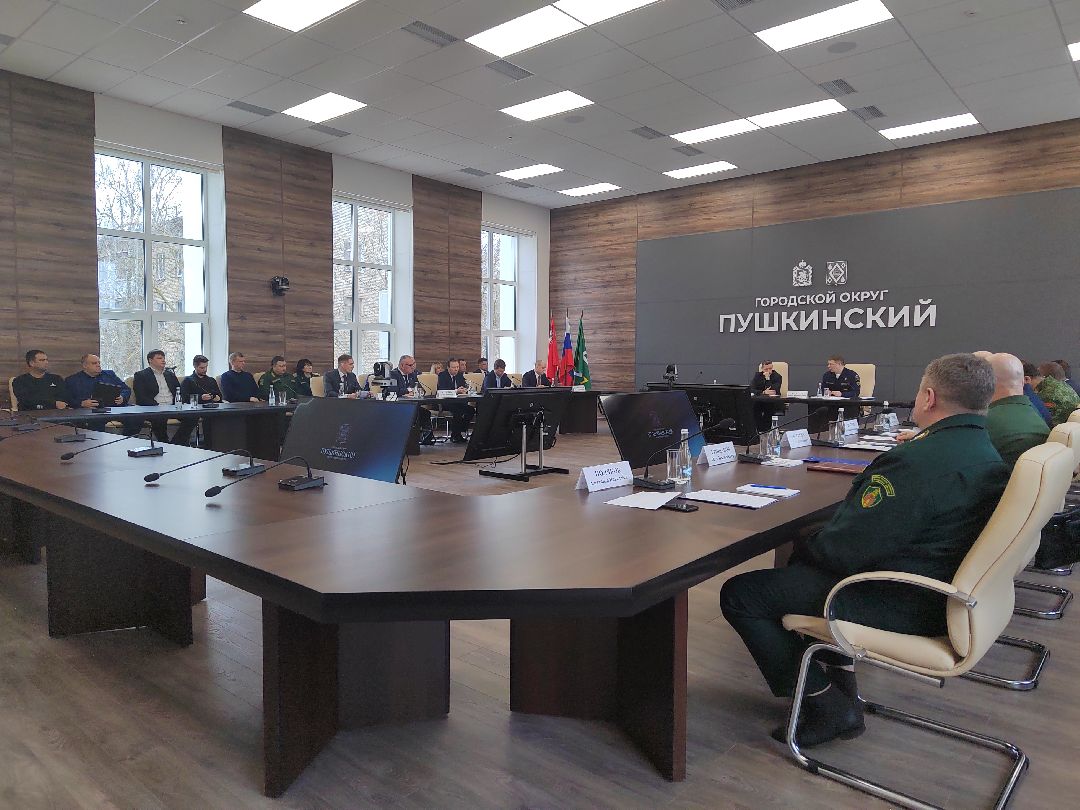 Пушкино, Пушкинский округ, пожар, МЧС, предупреждение спасение помощь, весна в Подмосковье, пожароопасный сезон