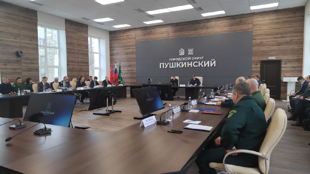 Пушкино, Пушкинский округ, пожар, МЧС, предупреждение спасение помощь, весна в Подмосковье, пожароопасный сезон