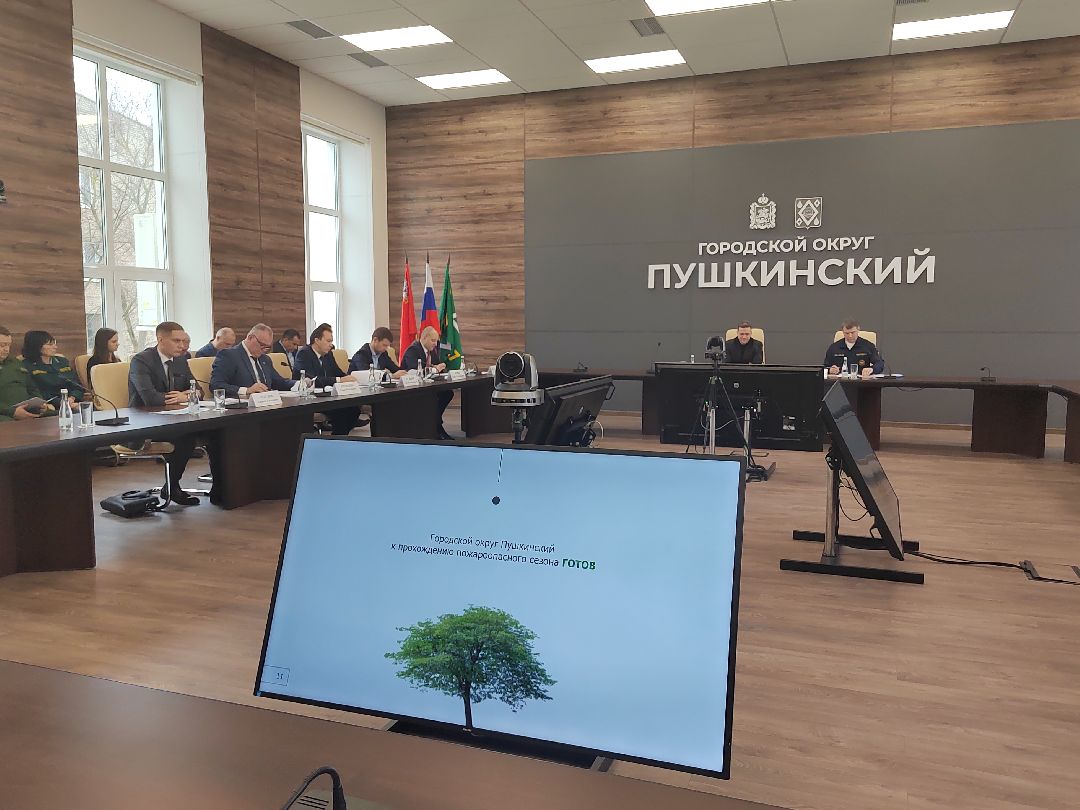 Пушкино, Пушкинский округ, пожар, МЧС, предупреждение спасение помощь, весна в Подмосковье, пожароопасный сезон