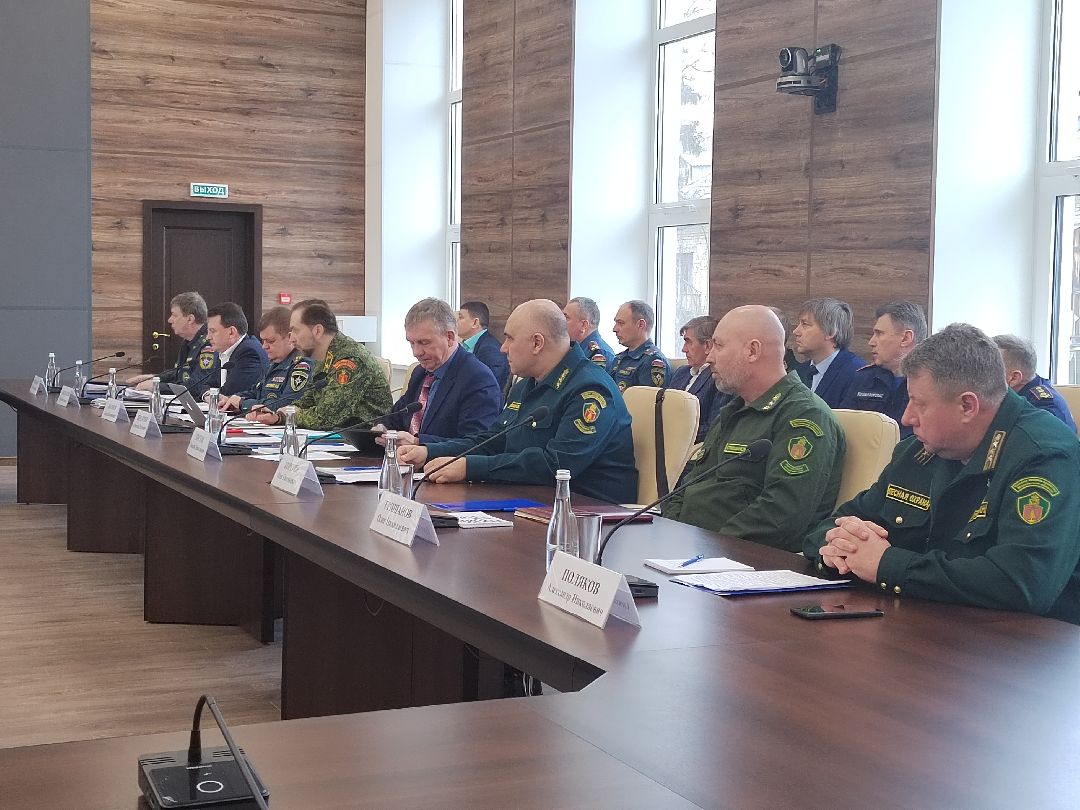 Пушкино, Пушкинский округ, пожар, МЧС, предупреждение спасение помощь, весна в Подмосковье, пожароопасный сезон