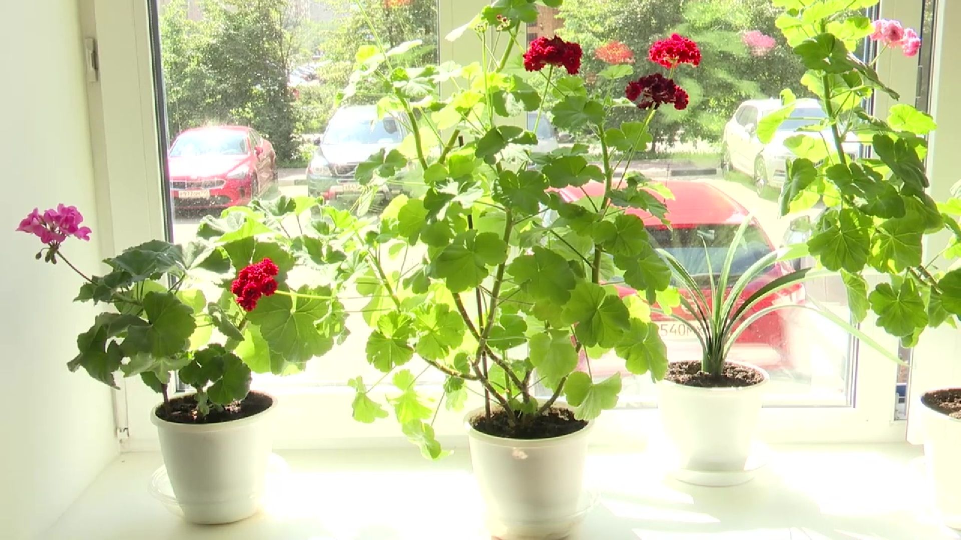 Реутов, благоустройство, ЖКХ, лучший дом, выбирает подмосковье, конкурс,