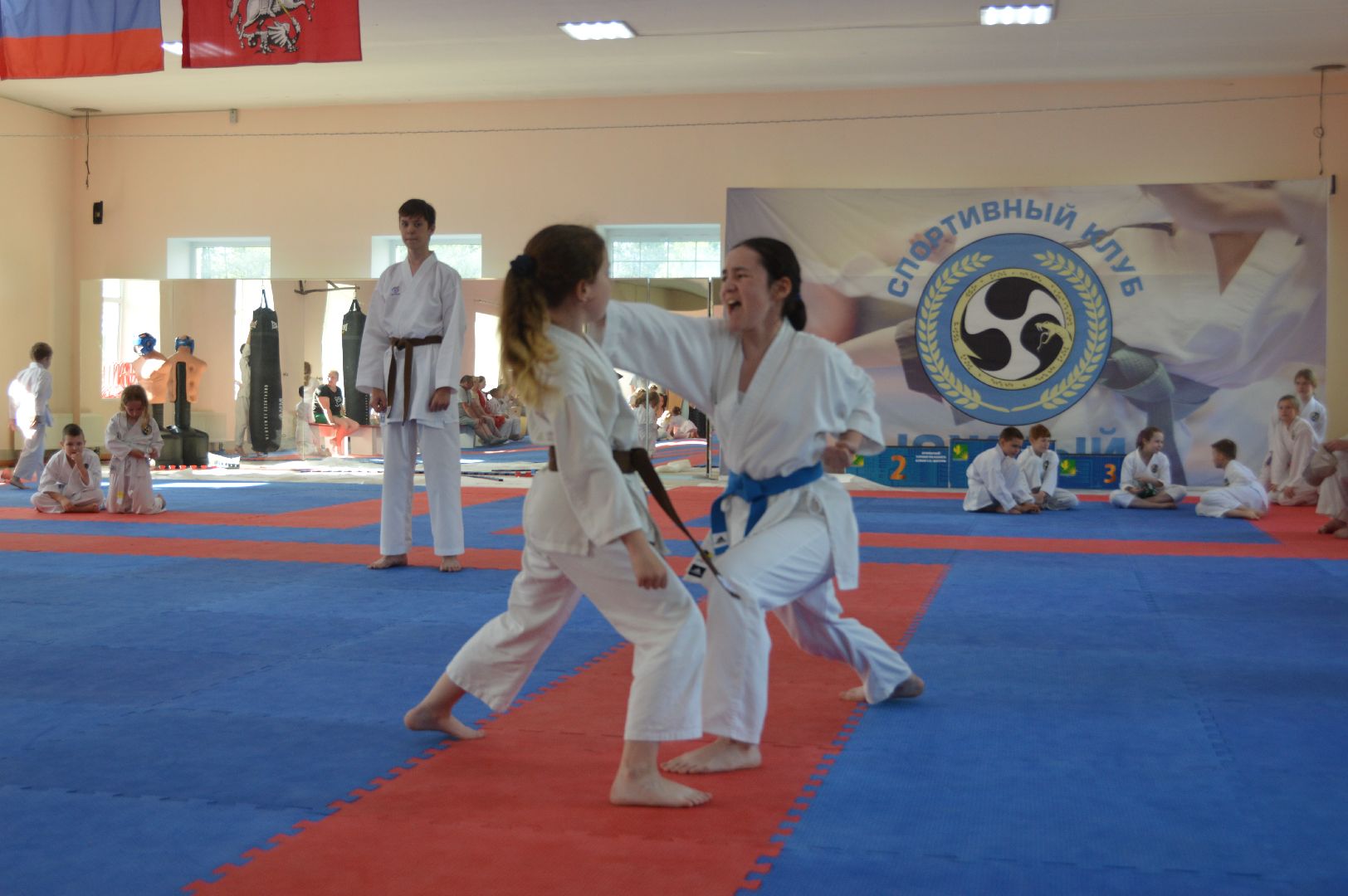 каратэ WKF, шатура, каратэ,