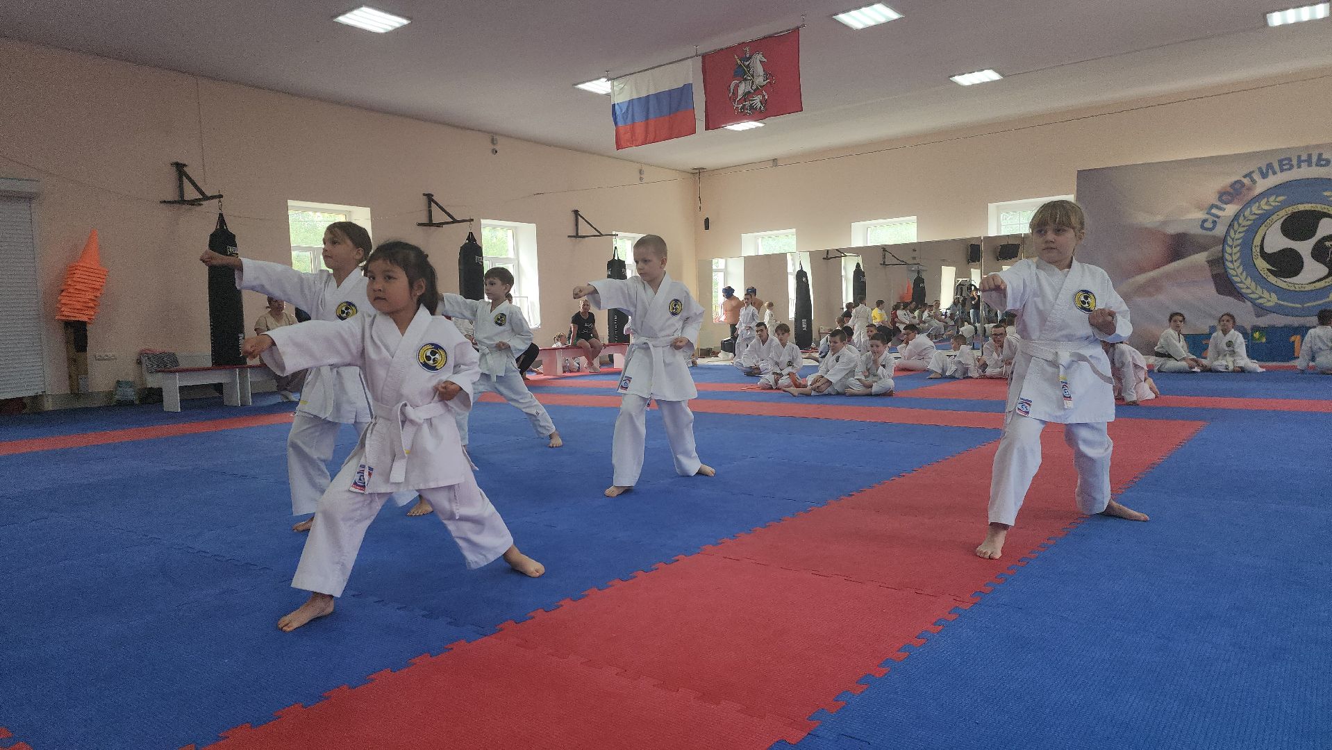 каратэ WKF, шатура, каратэ,