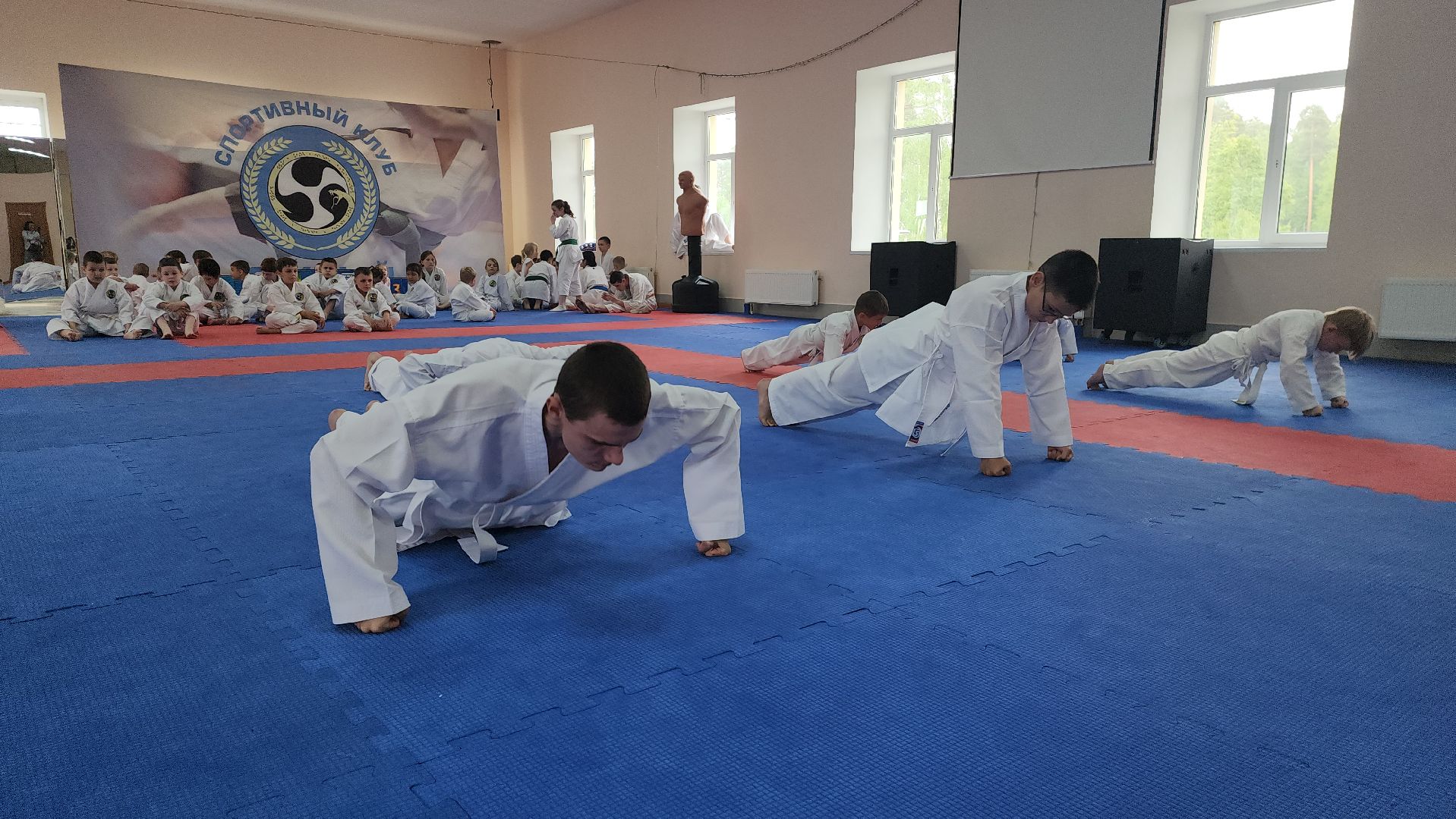 каратэ WKF, шатура, каратэ,